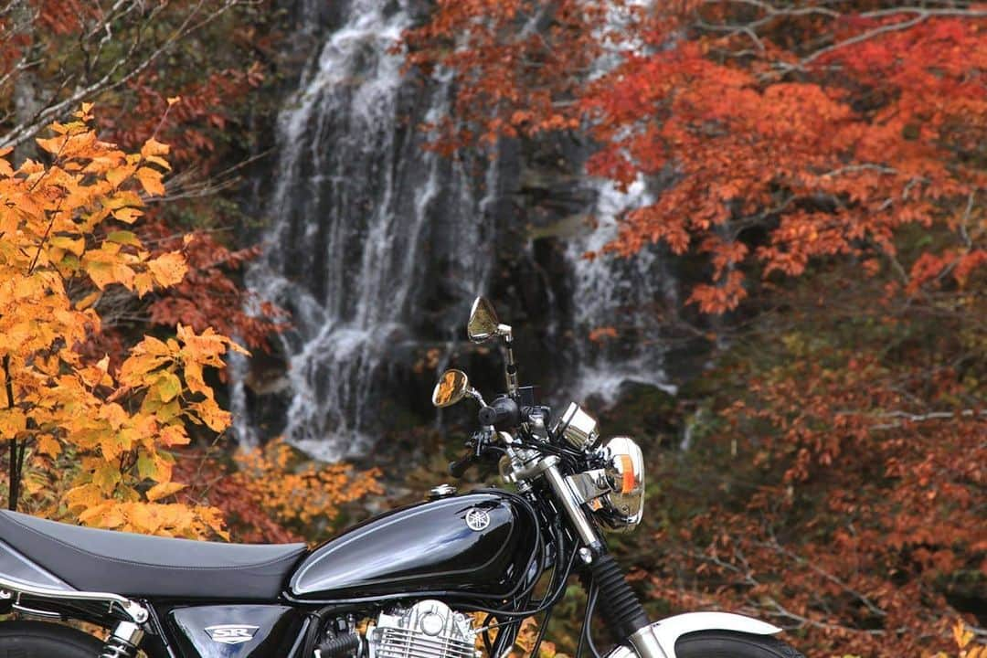 ヤマハ バイクさんのインスタグラム写真 - (ヤマハ バイクInstagram)「A time admiring "the fall" with SR400.﻿  ﻿「fall（秋）」に眺める「fall（滝）」も、風情がありますね🍂  #YAMAHAが美しい #SRが美しい #SR400 #yamahsr400 #yamahasr #バイクのある風景 #バイクのある景色 #バイク好きな人と繋がりたい #SR乗りと繋がりたい #motolife #instamoto #instamotocycle #bikerlife #bikestagram #classicmotorcycles」11月24日 23時42分 - yamaha_bike