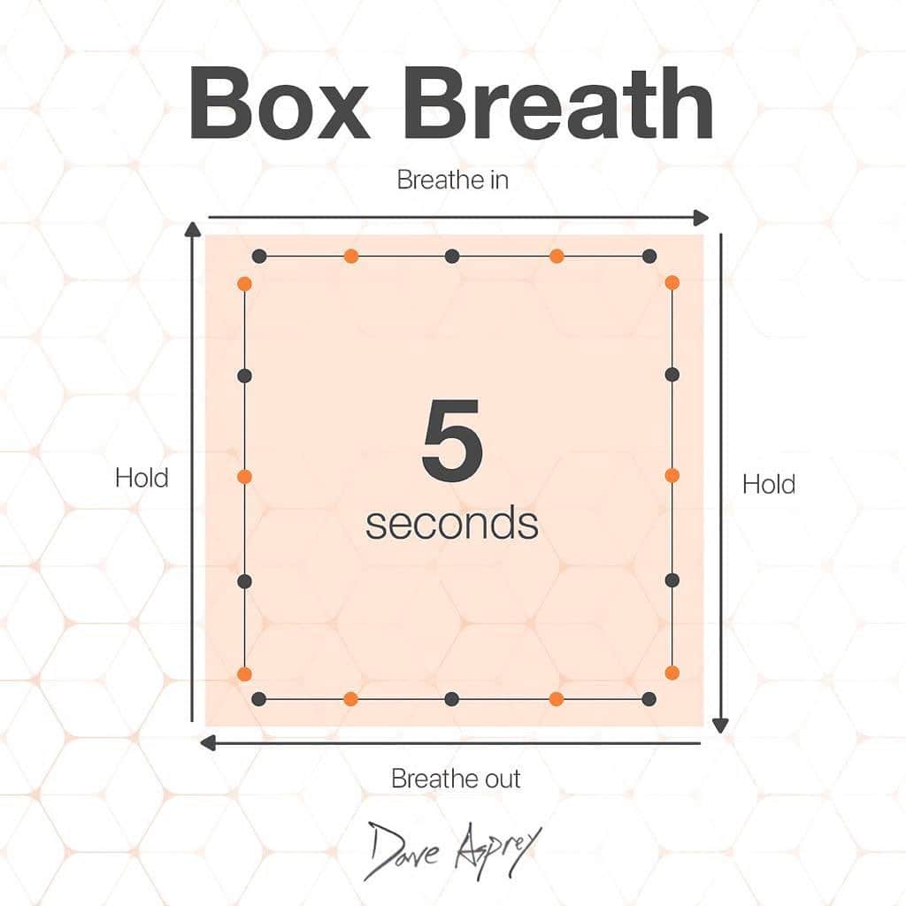 デイヴ・アスプリーさんのインスタグラム写真 - (デイヴ・アスプリーInstagram)「Box breathing is something I’ve focused on in most of my books. Breathing can nurture our bodies, center us, and rebalance us. When you start harnessing the power of your breath, you're going to feel huge benefits.   With practice, your breath can go up to 10 seconds on each side of the box. That gives your body a total reset.   Brand new science shows if you breathe in for 5.5 seconds and breathe out for 5.5 seconds, without holding in between, it can still have a profound effect on you.   Go to the link in bio to check out Bulletproof Radio Episode 751 with @mrjamesnestor . We talk about ways that proper breathing can help heal modern medical conditions, ease anxiety, and change your life!」11月24日 23時46分 - dave.asprey