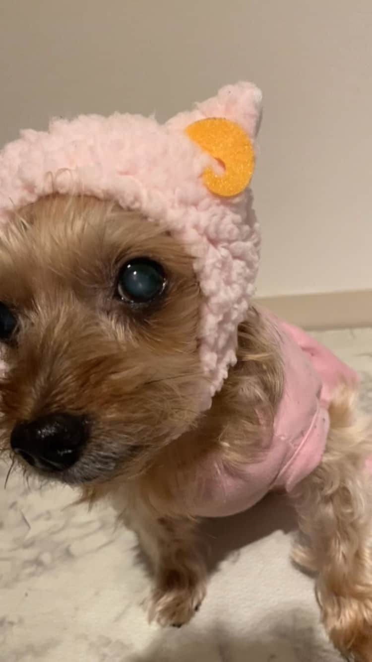 のインスタグラム：「I love you ちゃん💕」