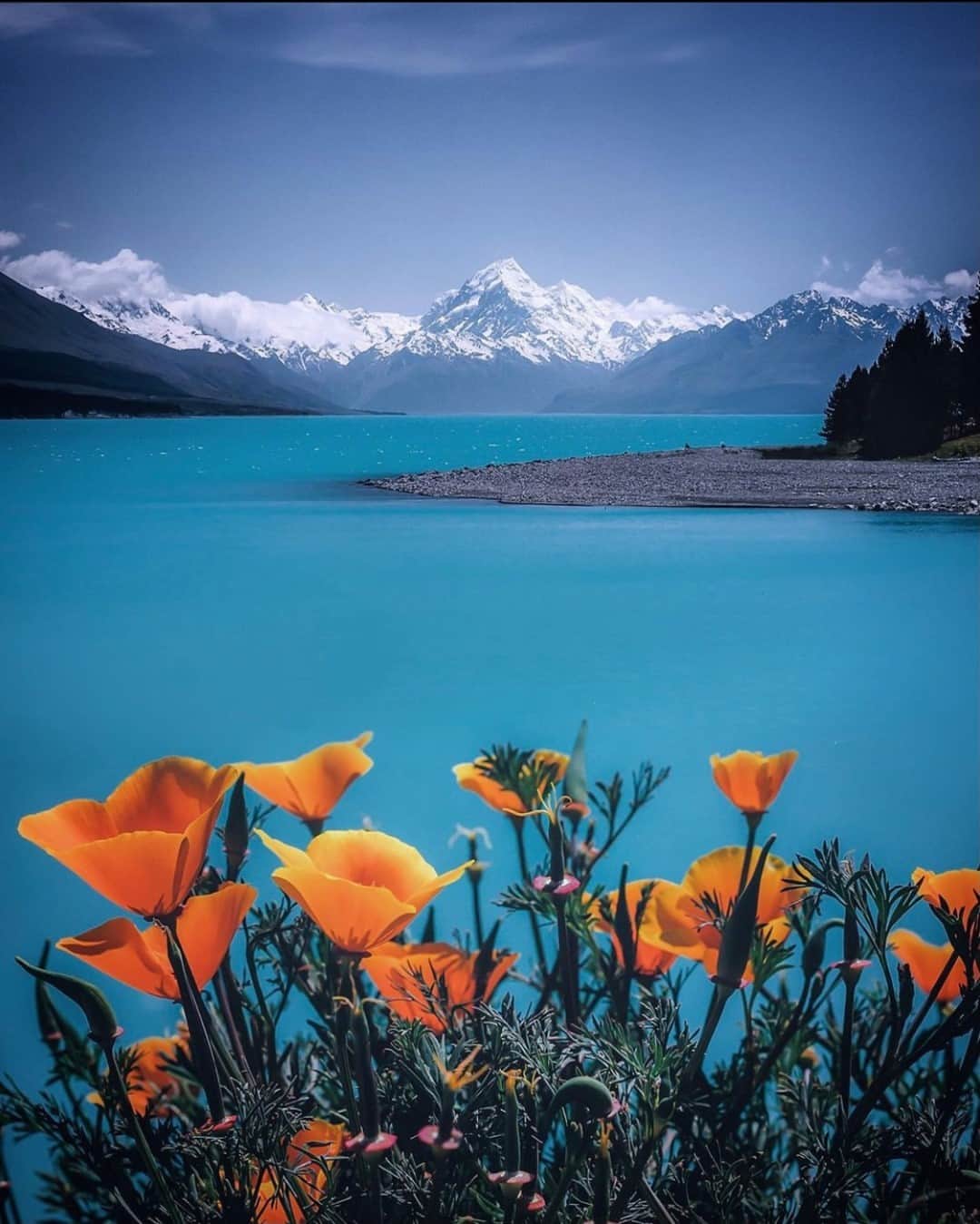 Earth Picsさんのインスタグラム写真 - (Earth PicsInstagram)「Spring time at New Zealand’s tallest peak, Aoraki 🏔 Photo by @rachstewartnz」11月25日 1時01分 - earthpix