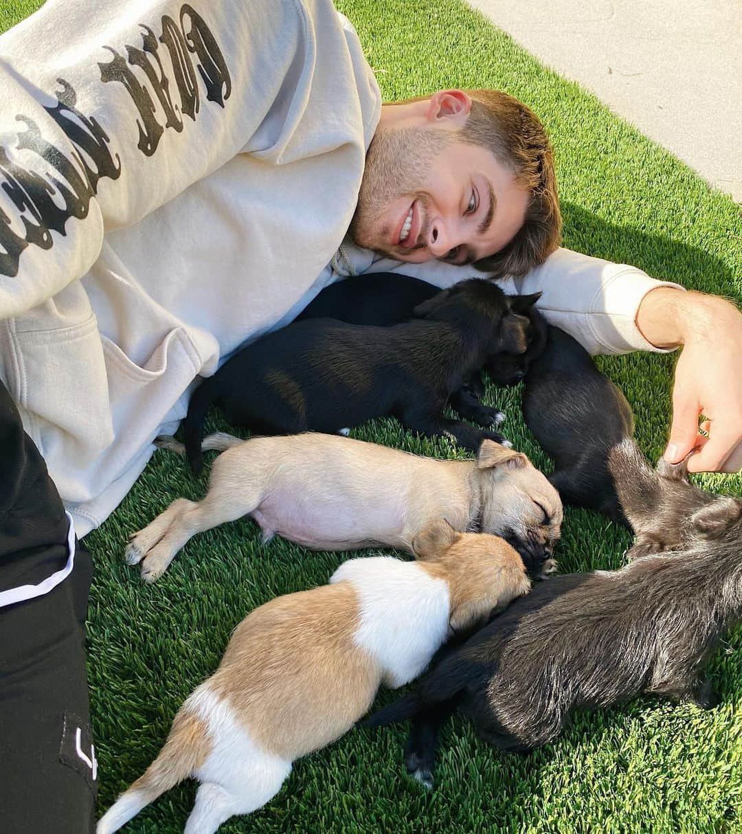 コディ・クリスチャンさんのインスタグラム写真 - (コディ・クリスチャンInstagram)「Puppy paradise」11月25日 2時03分 - codychristian