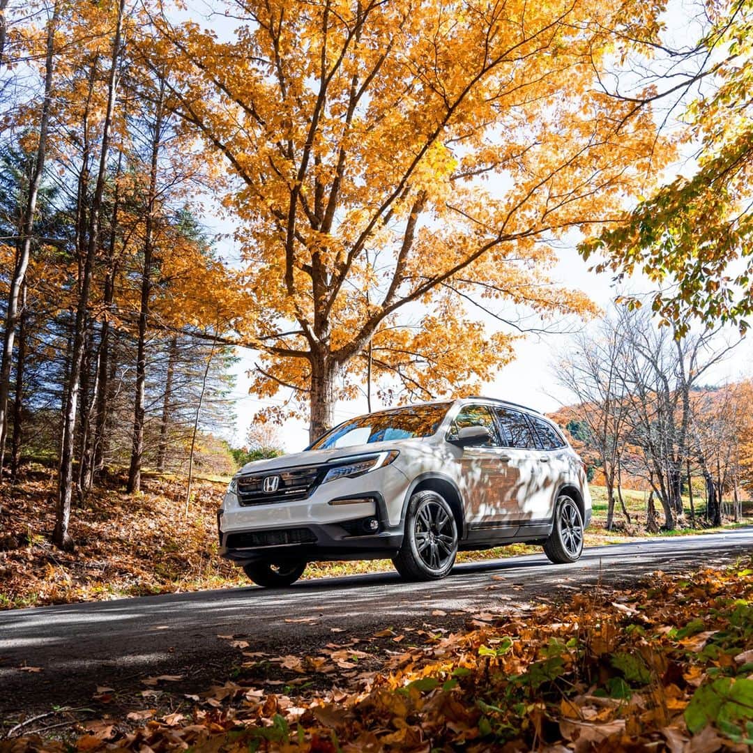 のインスタグラム：「Crunching leaves and craving turkey. 🍂 🦃 #HondaPilot」