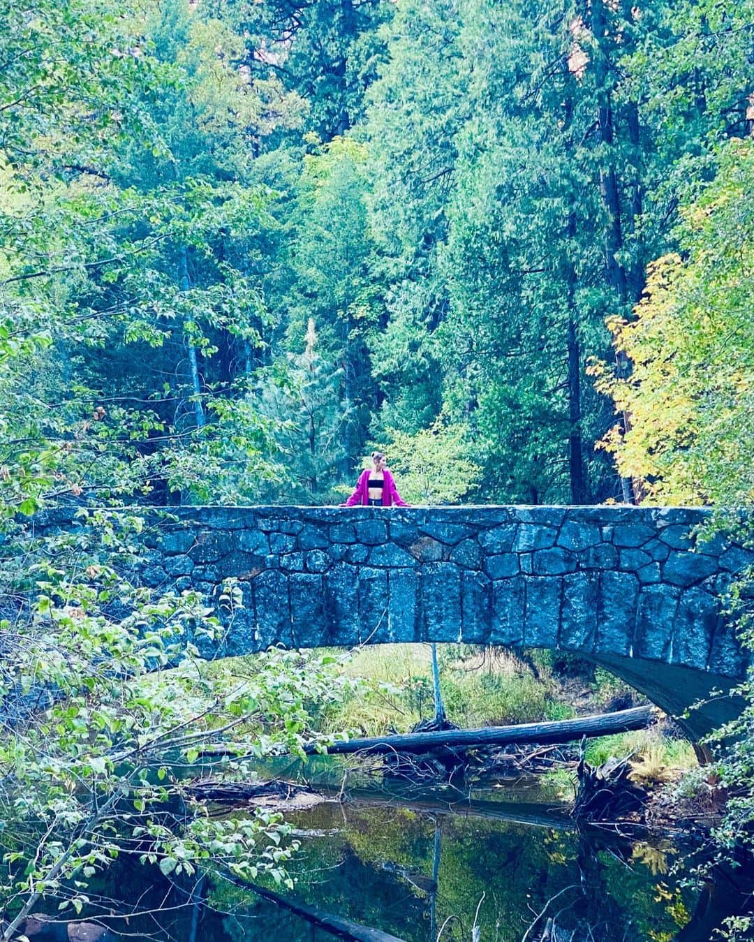 ヴァレリー・カウフマンのインスタグラム：「That country where it is always turning late in the year. That country where the hills are fog and the rivers are mist; where noons go quickly, dusks and twilights linger, and midnights stay. That country composed in the main of cellars, sub-cellars, coal-bins, closets, attics, and pantries faced away from the sun. That country whose people are autumn people, thinking only autumn thoughts. Whose people passing at night on the empty walks sound like rain. -Ray Bradbury」