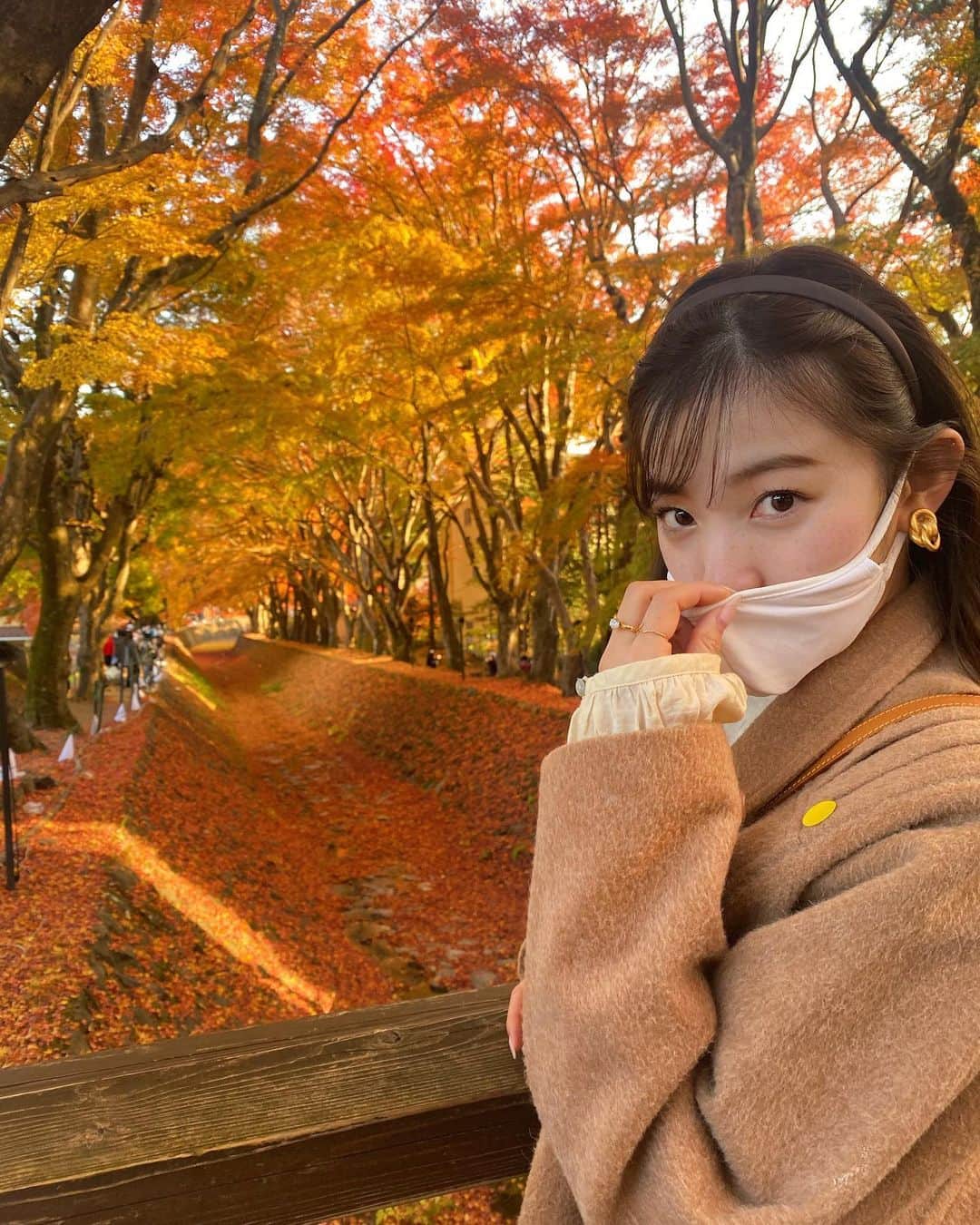 のインスタグラム：「紅葉🍁﻿ ﻿ ちゃんと紅葉を見に行くのは初めて！﻿ ﻿ 赤、橙、黄、緑、沢山の自然の色が﻿ 綺麗に色づいて、ふかふかの落ち葉道🍂﻿ ﻿ 空気も気持ちよくて心地よかったなぁ🥰﻿ ﻿ ﻿ 肩のシールは健康ですシール🟡」