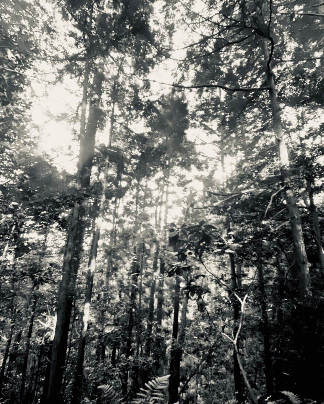辻村勇太さんのインスタグラム写真 - (辻村勇太Instagram)「先日行った御岩神社の写真！！ とても地球を感じられた場所！！ お気に入りの場所がまた増えた！ 色んな経験もできて辻村また一つ大人になれた日でした！！ 大人の階段登る〜♪」11月20日 21時48分 - yuuta.tsujimura
