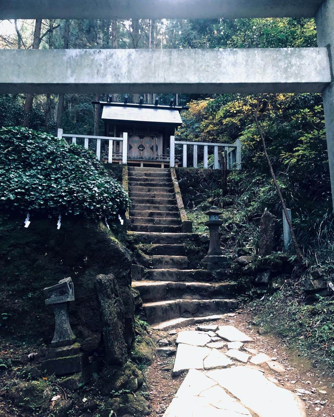 辻村勇太さんのインスタグラム写真 - (辻村勇太Instagram)「先日行った御岩神社の写真！！ とても地球を感じられた場所！！ お気に入りの場所がまた増えた！ 色んな経験もできて辻村また一つ大人になれた日でした！！ 大人の階段登る〜♪」11月20日 21時48分 - yuuta.tsujimura