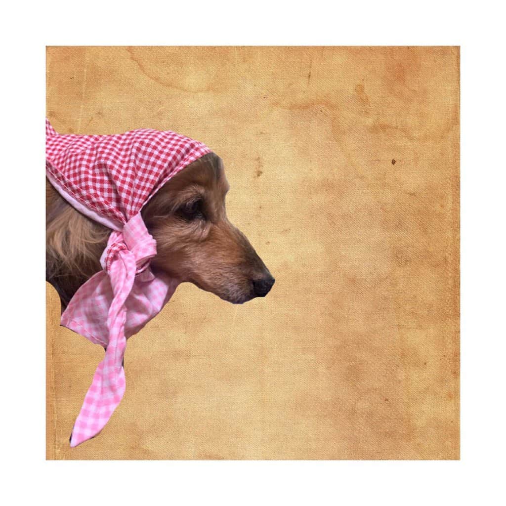 のインスタグラム：「シャレードれもん。 　 #ナカジマ家のアイドル  #目指せ18歳 #ヘップバーンには程遠い🤦‍♀️笑」