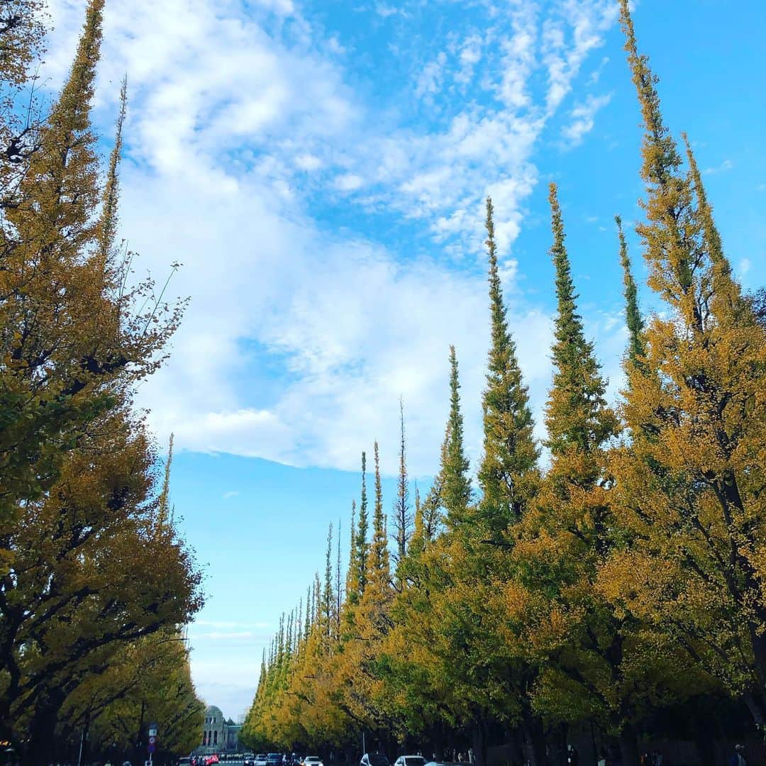 外園一馬さんのインスタグラム写真 - (外園一馬Instagram)「曇り予報でしたが、突然、晴れ間が。」11月20日 22時20分 - kazumasotozono_gt