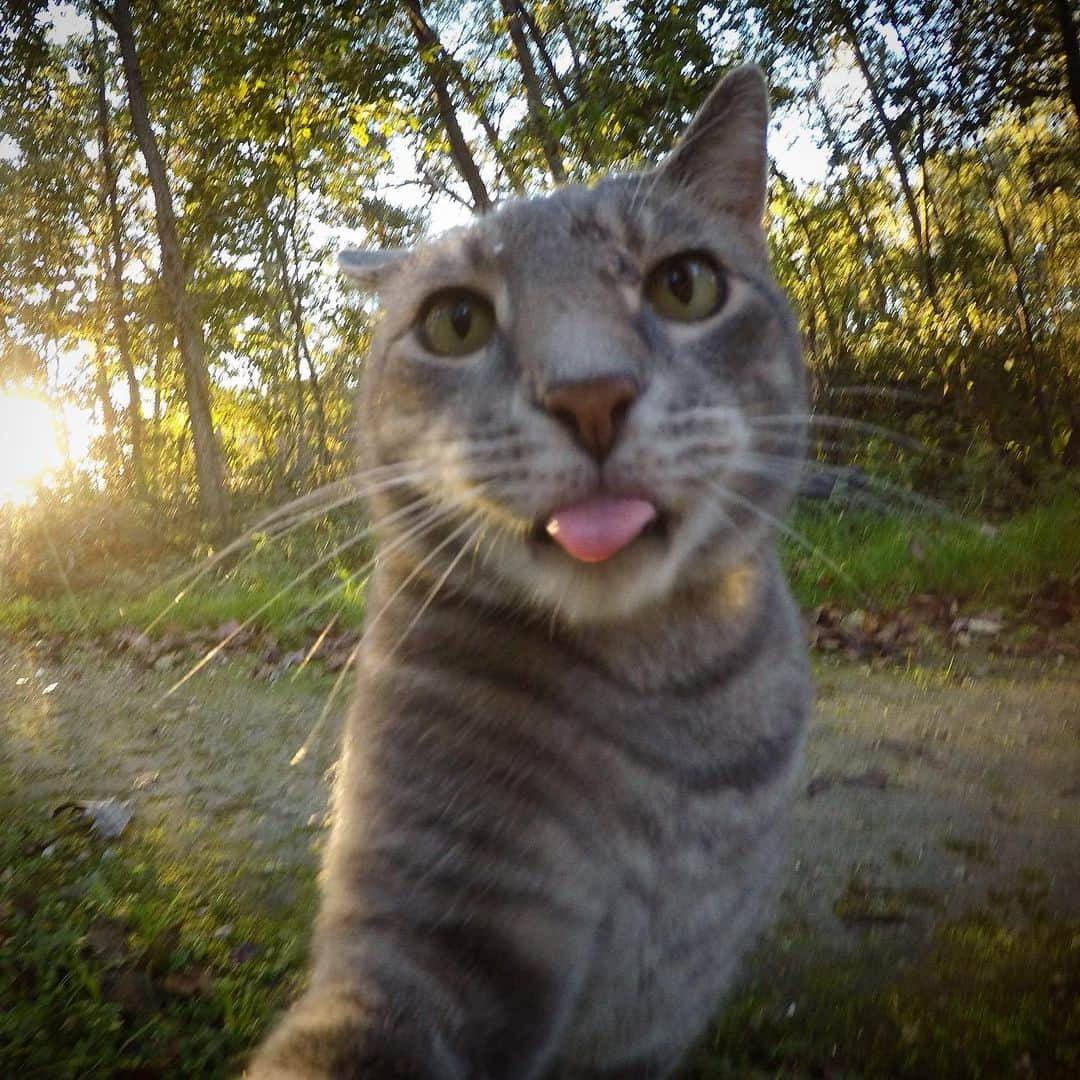 マニーのインスタグラム：「👅」