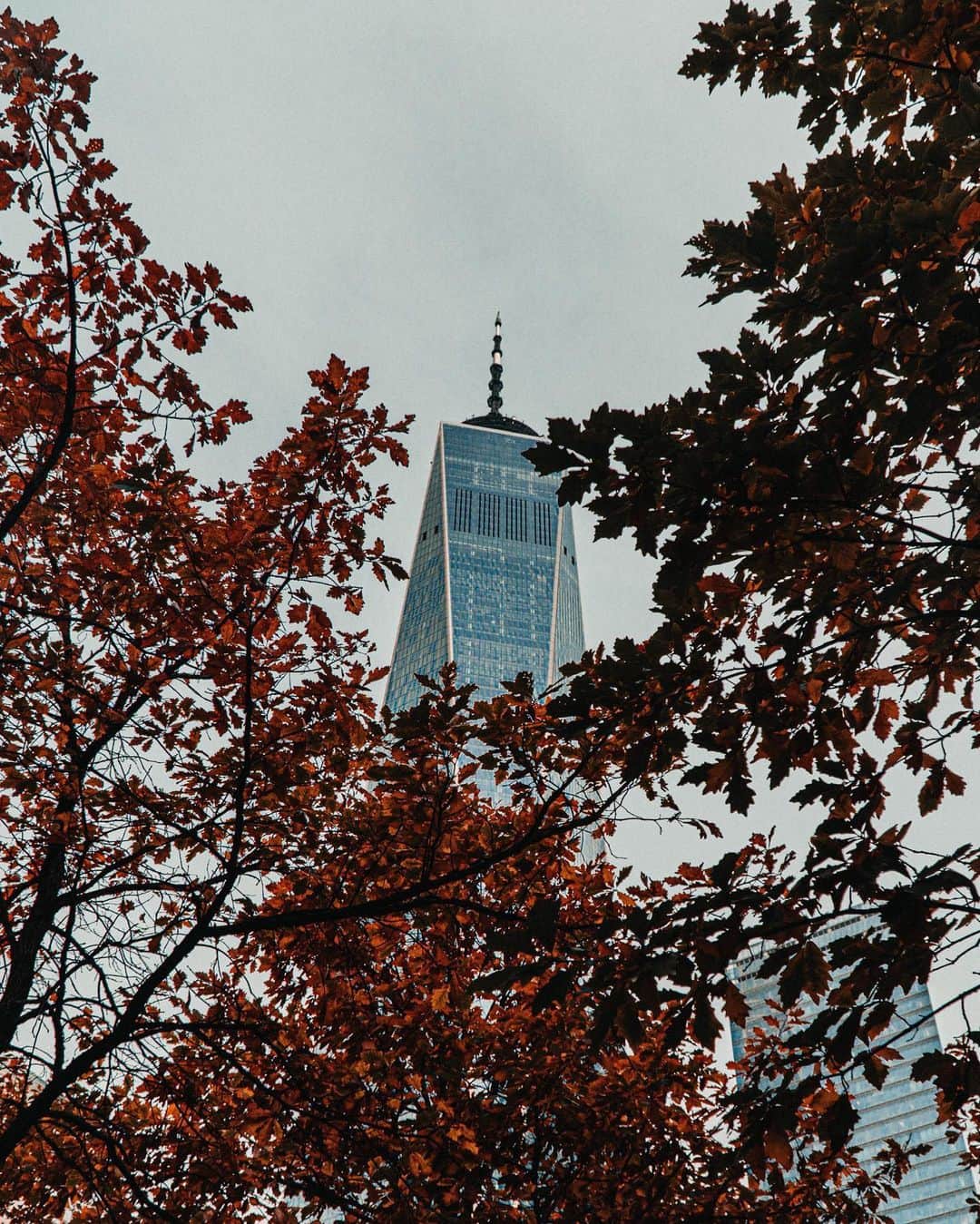 エリータハリさんのインスタグラム写真 - (エリータハリInstagram)「Hit the Pause Button - Take a moment to breathe in the colors of Fall.  #NYC #Fall #ElieTahari」11月20日 23時52分 - elietahari