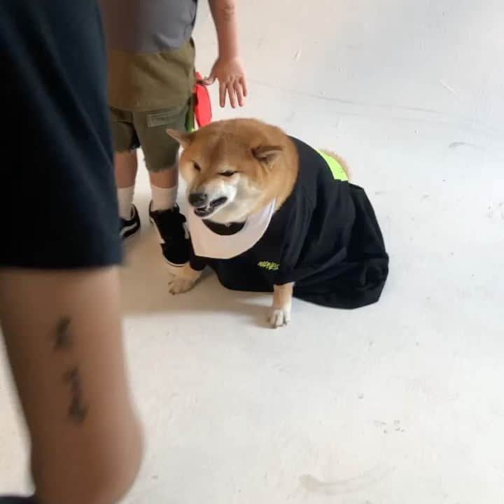 Balltze My name is Ballのインスタグラム：「Throw back to 2018 I was being a guest model for a kids brand. I have a good time with the kids  #fat96 #balltze #nomnomnomclub #balltzecheems #cheems #yos」