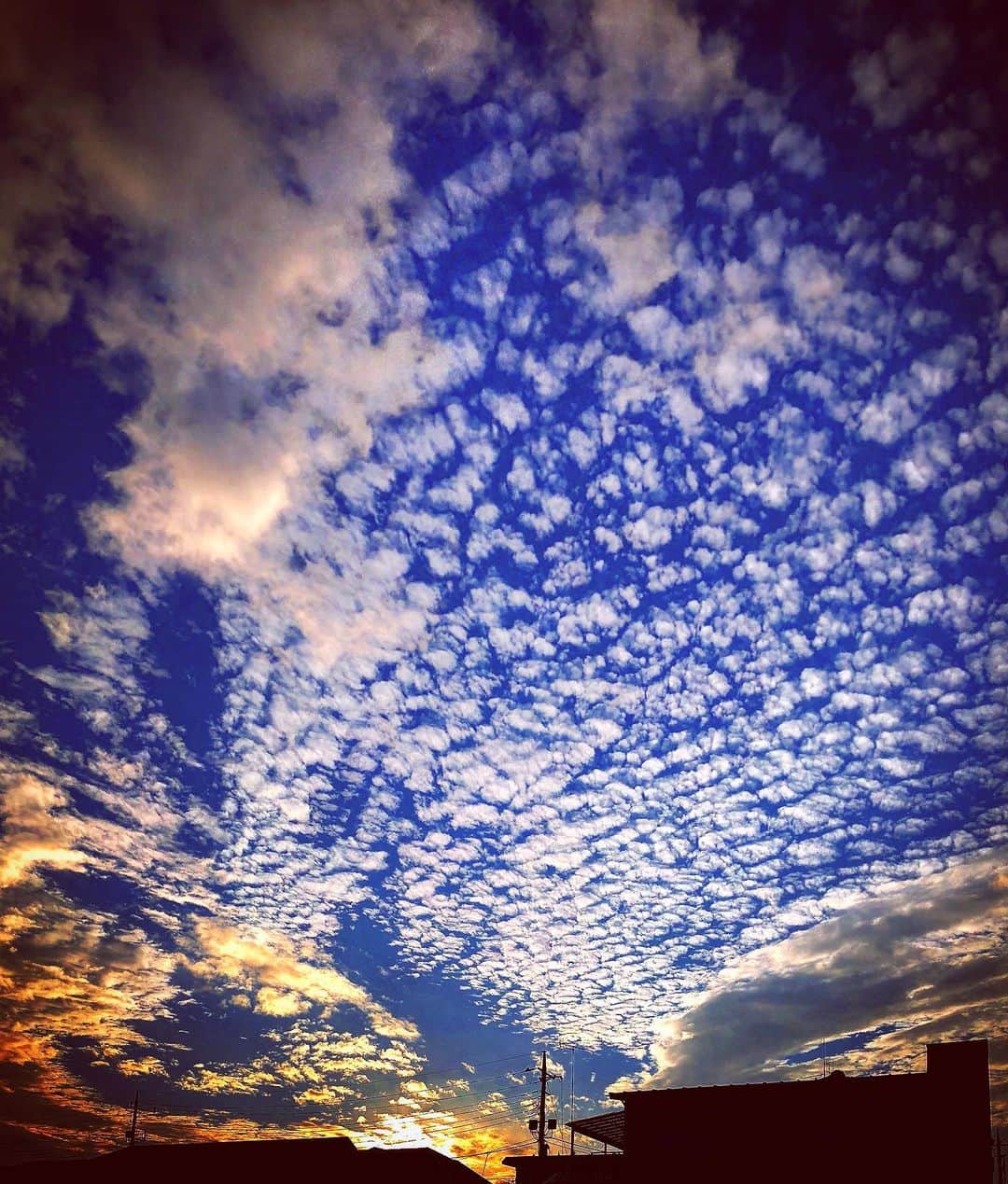 羽原信義さんのインスタグラム写真 - (羽原信義Instagram)「夕焼けに染まり始めるひつじ雲。」11月21日 0時53分 - nobuyoshi_habara