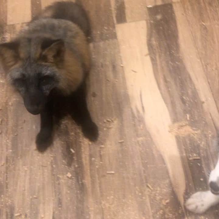 Rylaiのインスタグラム