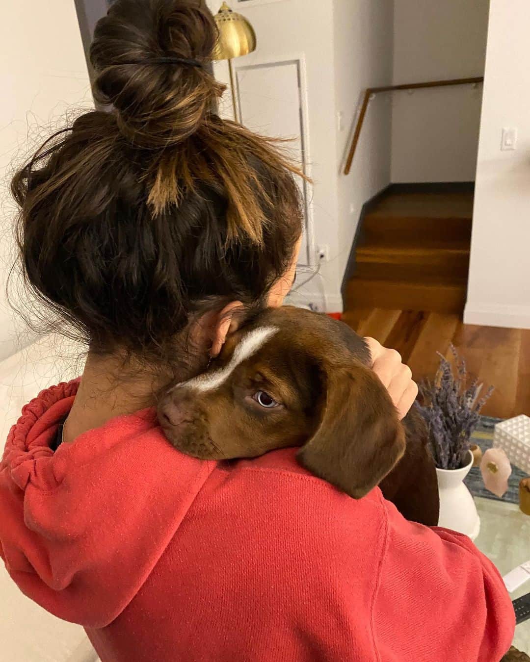 アリー・レイズマンのインスタグラム：「I wanted to share a video of some puppies arrival to the rescue shelter (including Mylo). Thank you @heartofri for sharing & for taking such good care of Mylo 🤍 When the shelter shared this video with me I cried because it makes me so sad to think about these sweet innocent babies getting abandoned. Some are treated so poorly & abused. I also got emotional because I am so appreciative that I get to share my life with Mylo. I think about all of the animals getting a forever home that is filled with lots of love & it makes me happy. I can’t imagine how scary life is for the animals & I’m glad @heartofri & rescue shelters around the world do so much to help the animals feel safe, get healthy & find a special home! Mylo is so snuggly & he is such a mamas boy... I LOVE IT 💜I cherish these special moments.」