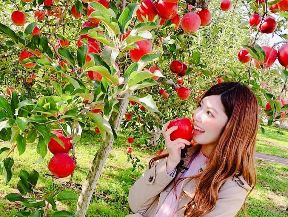 橘ゆりかのインスタグラム：「青森で りんごもぎもぎした後は、、、﻿ ﻿ 浅虫温泉 南部屋・海扇閣で美味しいお食事をいただき﻿ ﻿ 海が見えるお部屋でお泊りしたよ〜☺️☺️﻿ ﻿ 朝焼けも夕焼けもたっぷり浴びられました🌅﻿ ﻿ 大間マグロとろけた🍣🤤﻿ ﻿ ﻿ #青森県 #浅虫温泉 #南部屋海扇閣 #海扇閣 #いい福みつけ旅 #福盛訓之 #倉田瑠夏 #橘ゆりか #りんご狩り #りんご #温泉 #青森旅行 #青森グルメ #大間のマグロ #お寿司 #旅館ご飯 #温泉旅館 #オーシャンビュー #青森りんご」