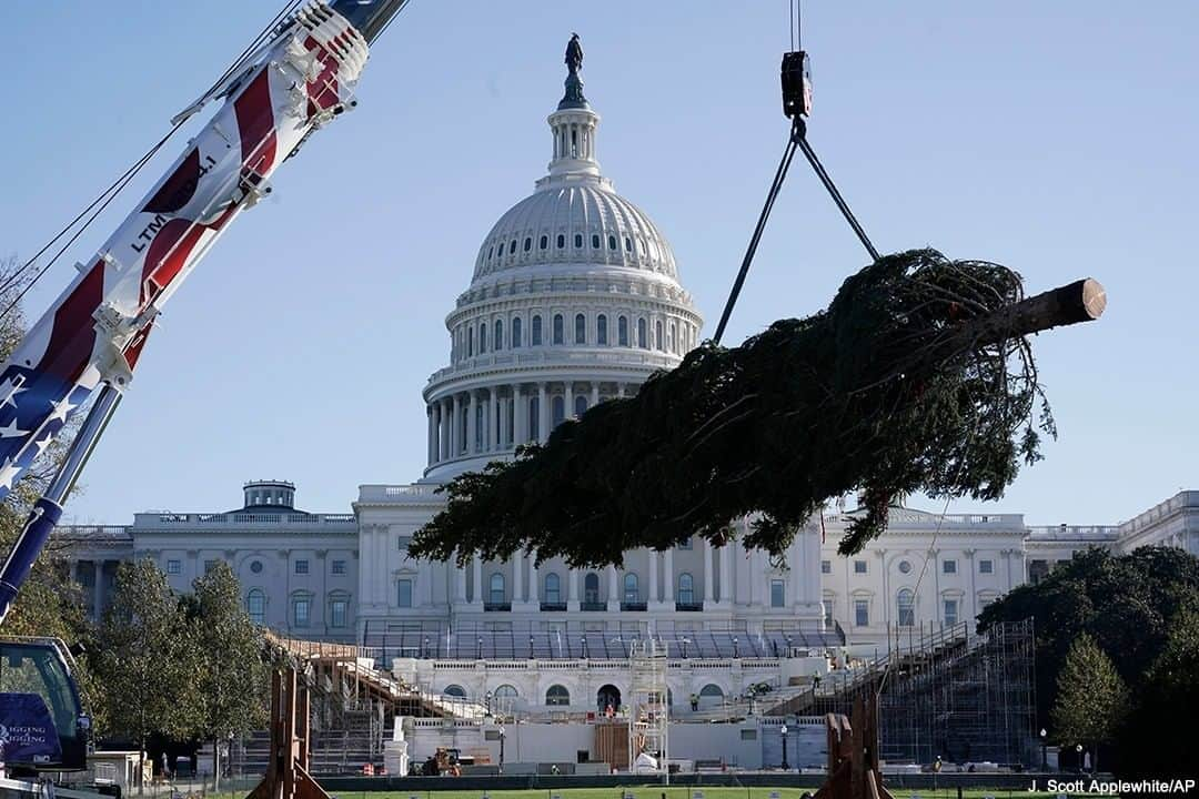 ABC Newsさんのインスタグラム写真 - (ABC NewsInstagram)「HOME FOR THE HOLIDAYS: The 2020 Capitol Christmas tree is delivered ahead of the holiday season, from the Grand Mesa, Uncompahgre and Gunnison National Forests in Colorado. #christmas #xmas #holidays #capitolhill #usa #washingtondc #tree #trees」11月21日 2時10分 - abcnews