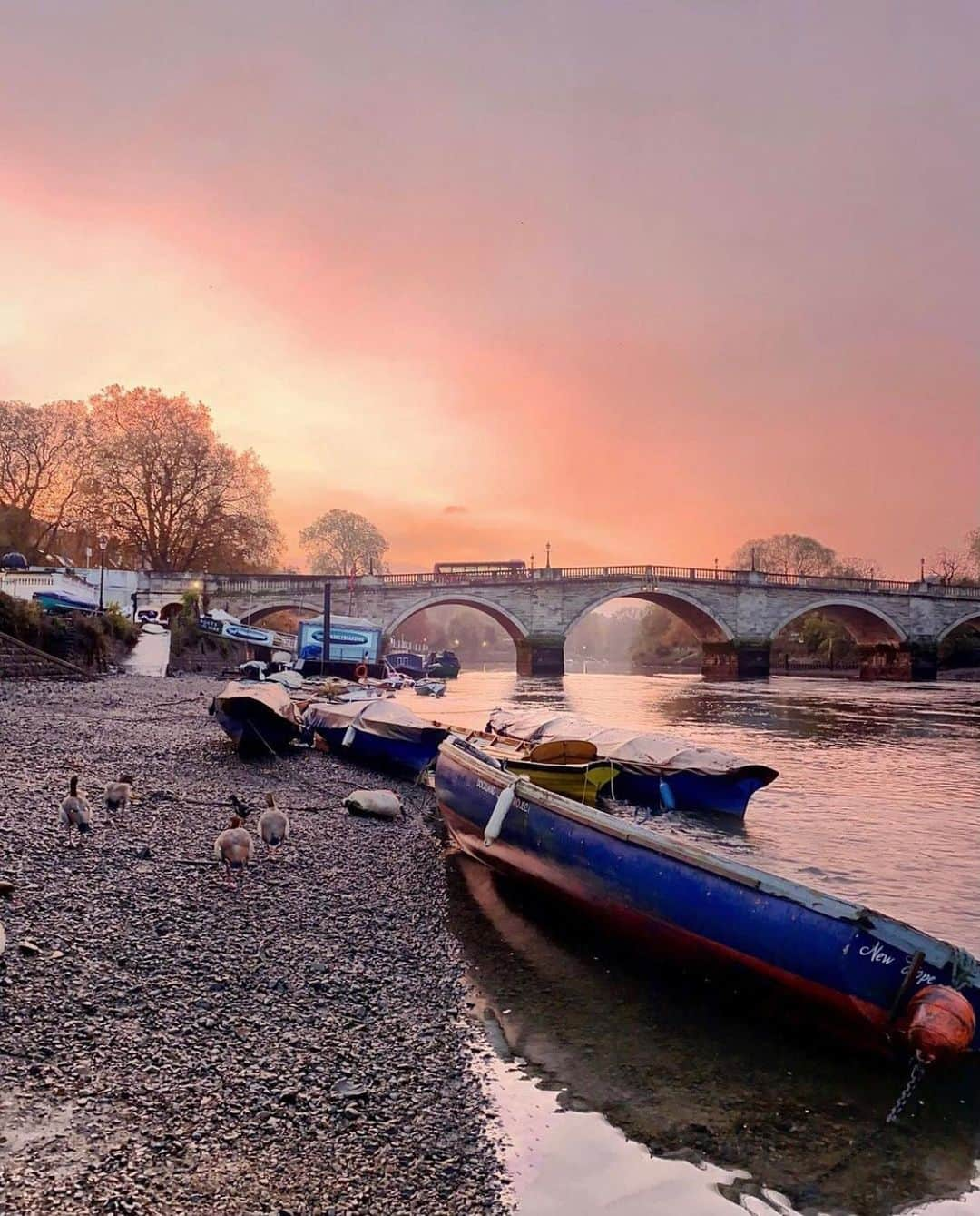 @LONDON | TAG #THISISLONDONさんのインスタグラム写真 - (@LONDON | TAG #THISISLONDONInstagram)「#FridayFacts  Spectacular photos from our wonderful friend @veevs who captured the “Draw Off” in #Richmond... once a year the river #Thames is drained for several weeks to a low tide to allow for maintenance on locks between #Teddington & Richmond which results in the riverbed being exposed, and boat owners having to make plans to move their boats unless they want them resting on the ground! 😱😱 Stunning photos @veevs! Love them! ❤️💞❤️  ___________________________________________  #thisislondon #lovelondon #london #londra #londonlife #londres #uk #visitlondon #british #🇬🇧 #richmondriverside #surrey #surreylife」11月21日 3時56分 - london