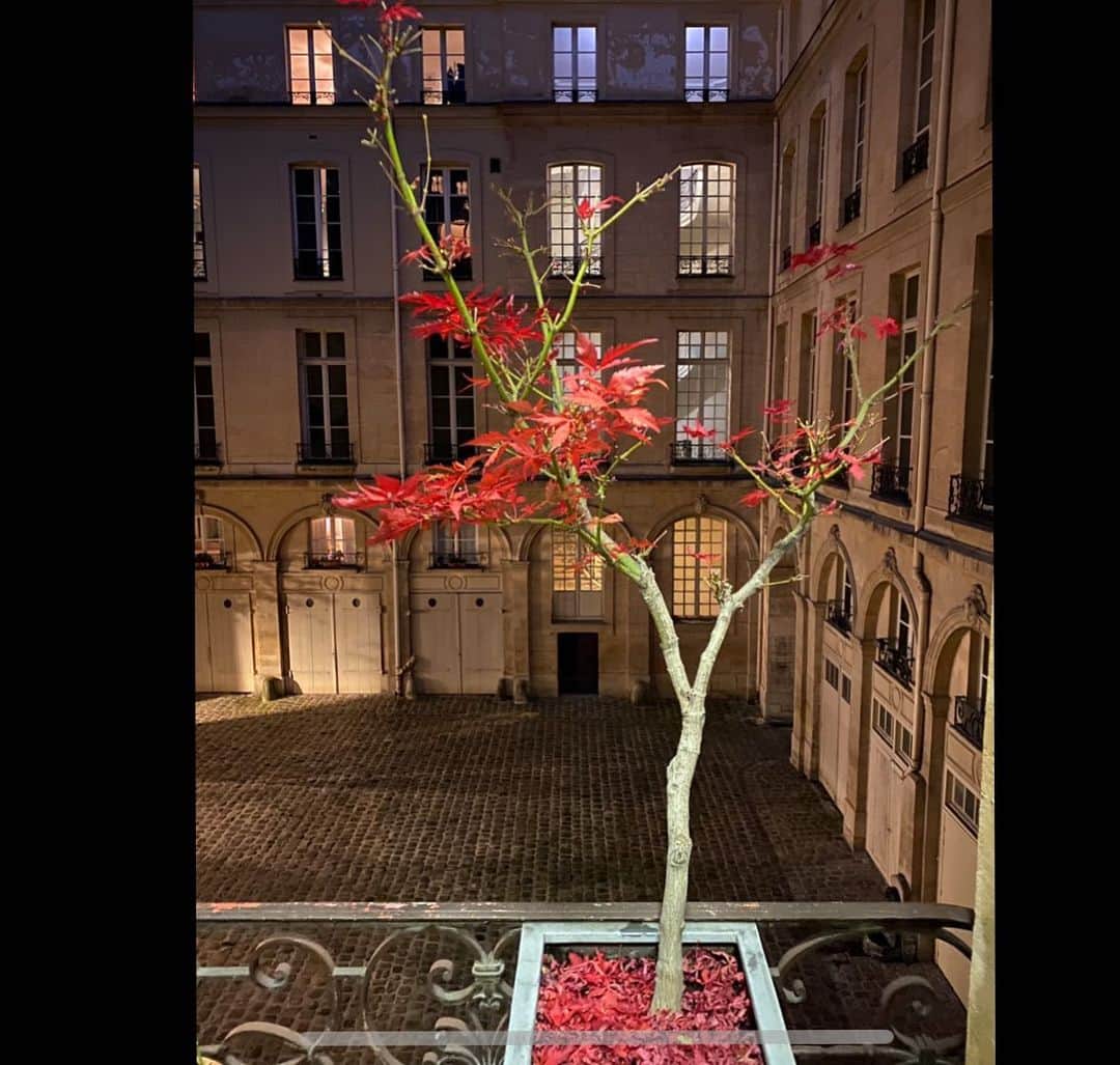 JULIEN D'YSのインスタグラム