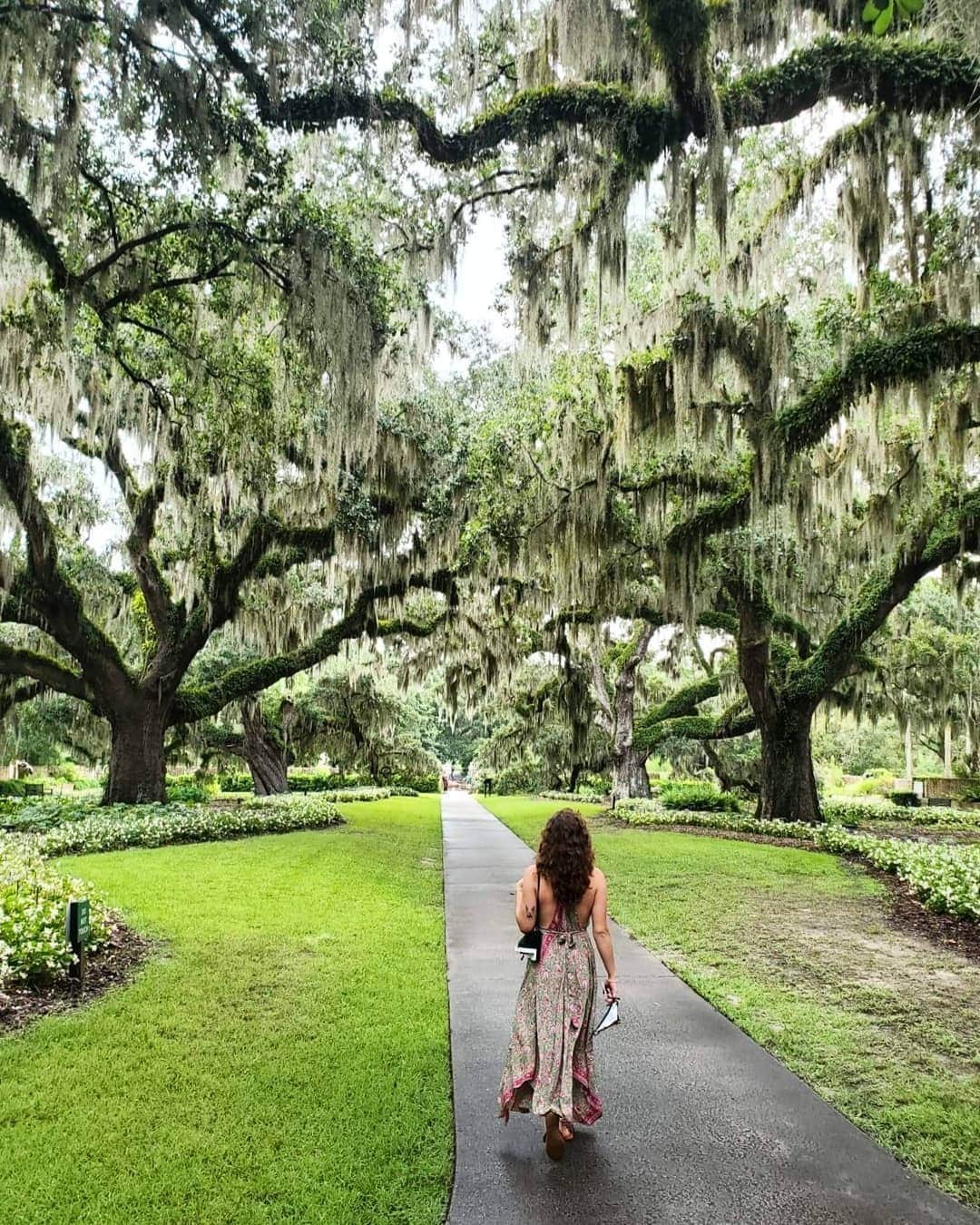Visit The USAさんのインスタグラム写真 - (Visit The USAInstagram)「Walking through the magical Brookgreen Gardens. ✨😍 Located in South Carolina, the Gardens is a National Historic Landmark with a sculpture garden, beautiful botanical garden, and a zoo! #VisitTheUSA 📸 : @cactus__baby」11月21日 5時00分 - visittheusa
