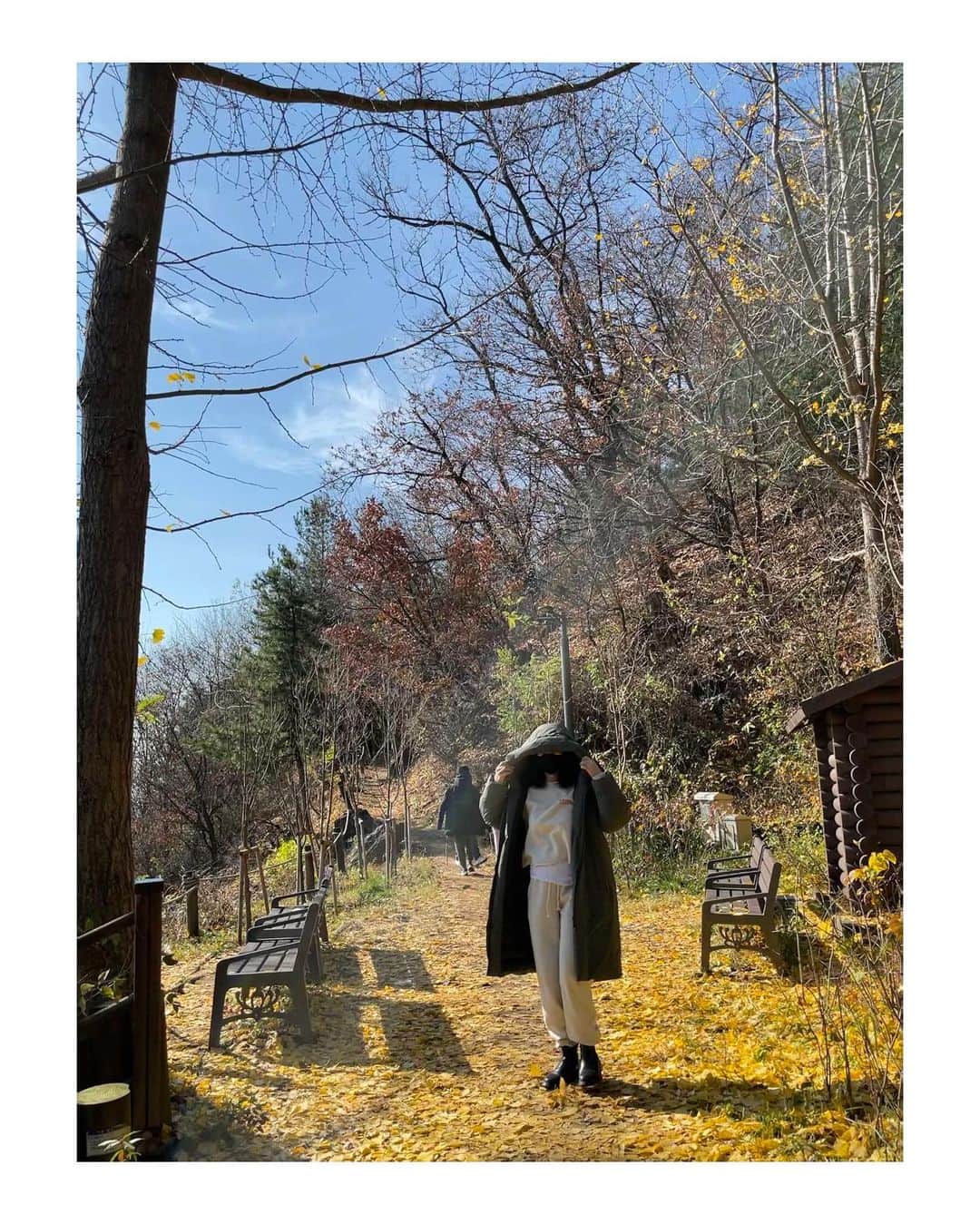 のインスタグラム：「🍂🍁 집 뒷산  가을 하늘이 너무 예뻐요 낙엽들도 우수수 맨 마지막 사진은 아이들이 만든 바위 얼굴」