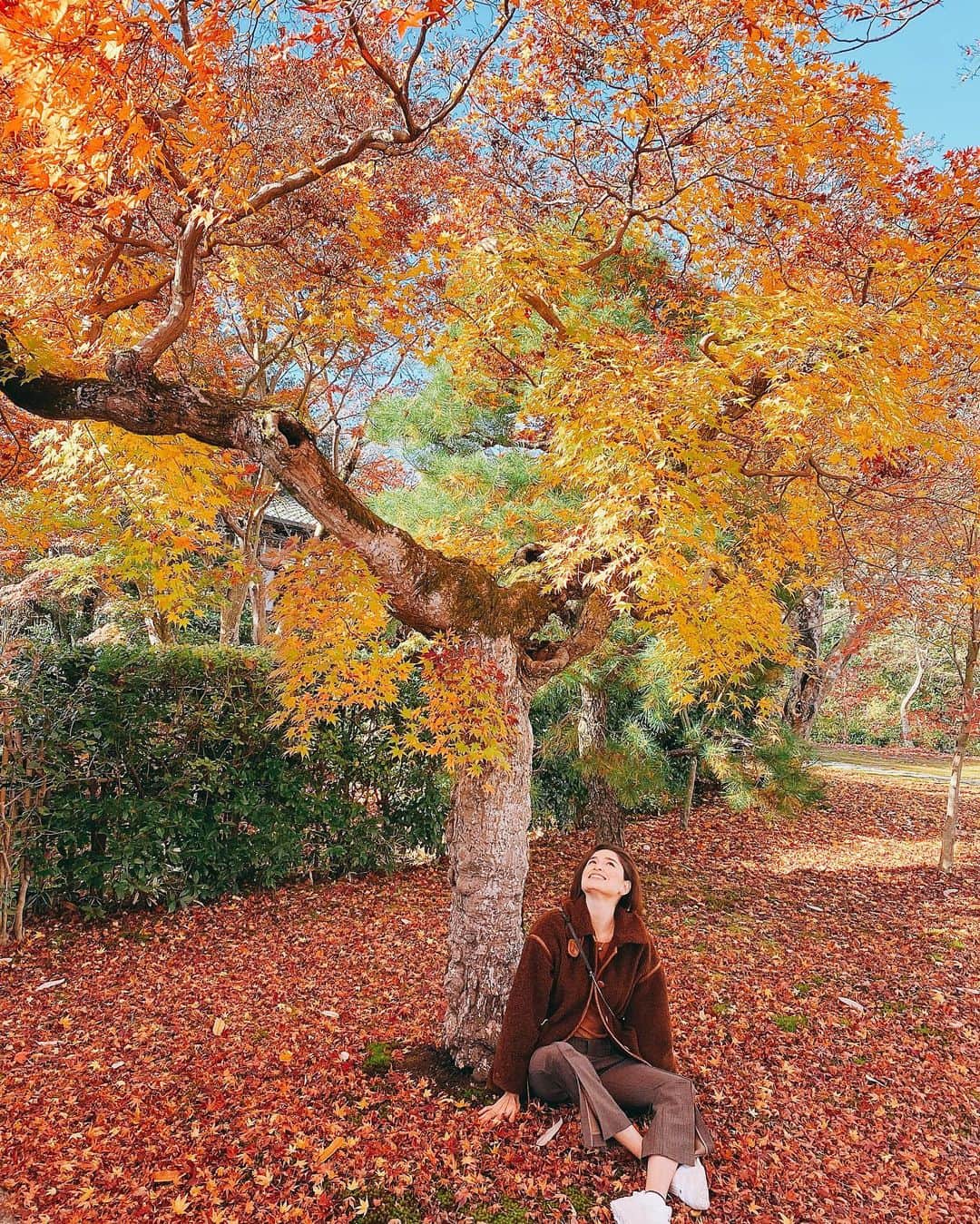 ケリーさんのインスタグラム写真 - (ケリーInstagram)「誕生日旅、紅葉を見にきた🍁🍂 ・ Celebrating my bday by the nature🍁 ・ #birthday#autumnleaf#birthdaytrip」11月21日 14時51分 - kellymisawa