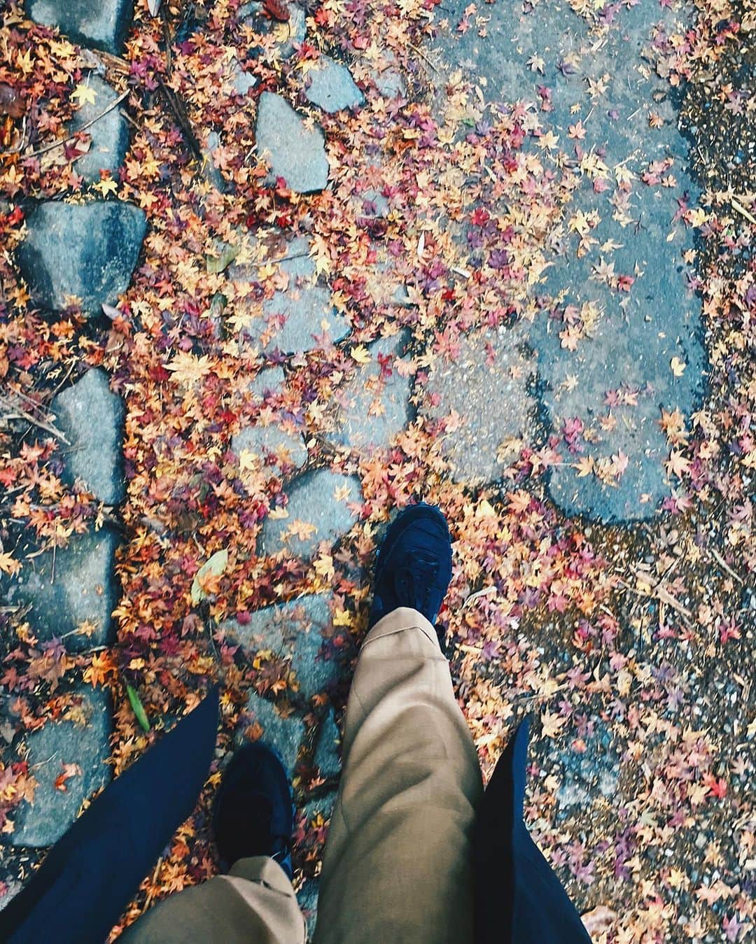 小塚源太のインスタグラム：「🍁🍁🍁 いい季節だ #menshoes #menstyle」