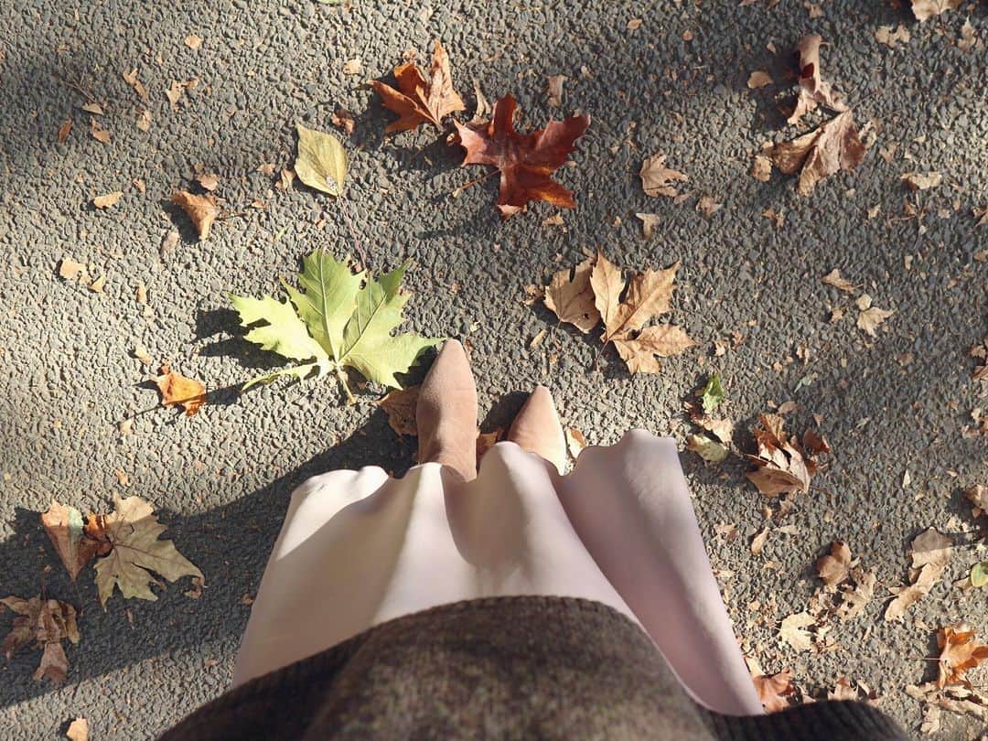 吉羽真紀のインスタグラム：「気持ちいい天気。このブーツ歩きやすいから散歩もできる🍂 @fabiorusconi_japan @noble.jp  #ショートブーツ #fabiorusconi #noble」