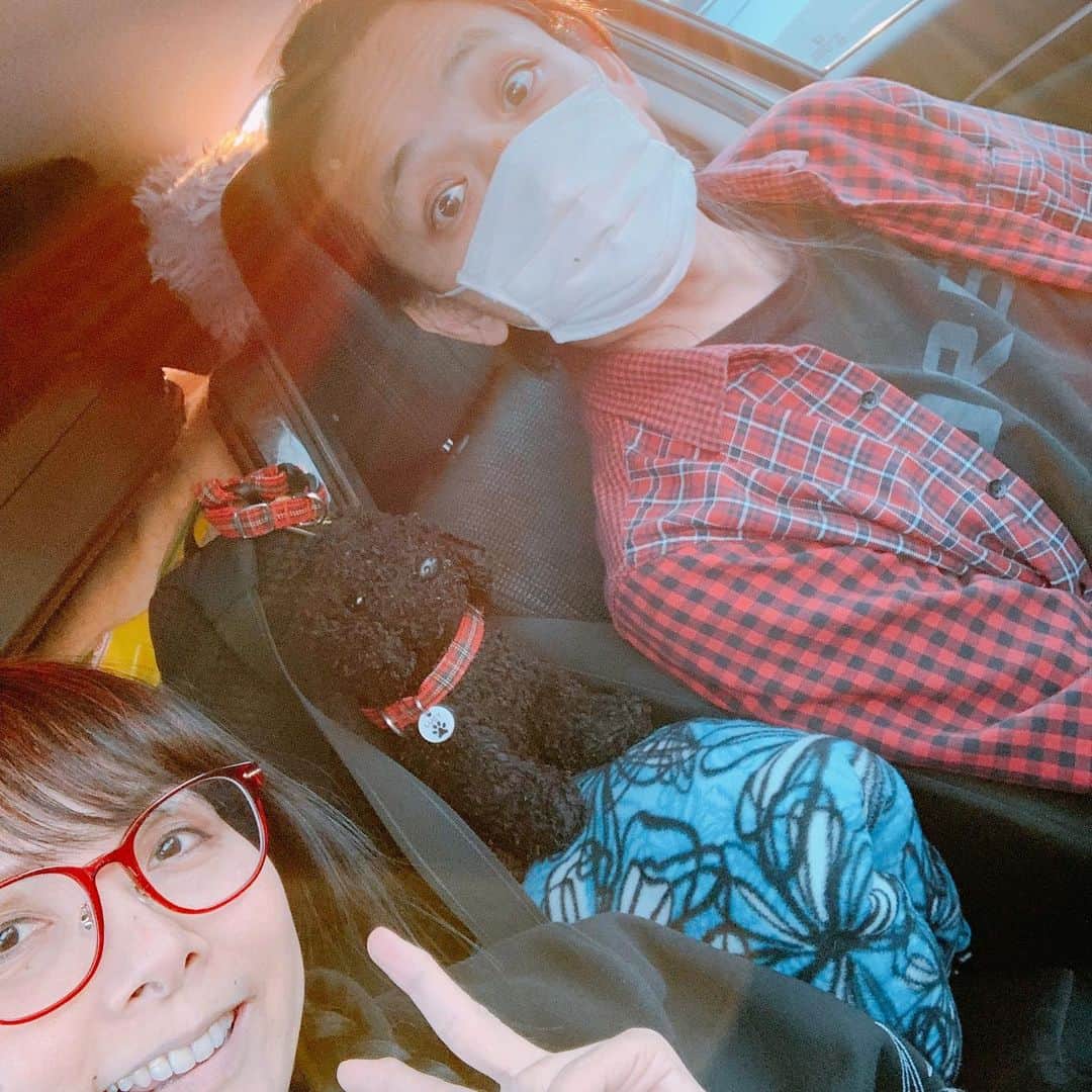 PINKY DOODLE POODLEさんのインスタグラム写真 - (PINKY DOODLE POODLEInstagram)「We’re going to Johnson City TN to play gig at The Hideaway!!! Come on!!!」11月21日 6時55分 - pinkydoodlepoodle