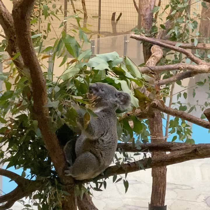 光岡映二のグルメインスタ