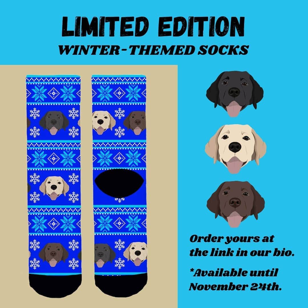 World of Labradors!さんのインスタグラム写真 - (World of Labradors!Instagram)「Looking for the perfect Christmas gift for a dog lover? Our adorable winter-themed socks are available for a limited time until November 24th via @tribesocks. These premium quality socks are made using only the finest fabrics. Get yours at the link in our profile!」11月21日 7時56分 - worldoflabs