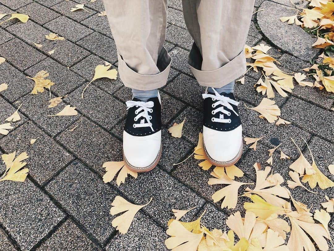 藤野可織さんのインスタグラム写真 - (藤野可織Instagram)「クイーンズ・ギャンビットを見てしまったのでこの靴です。」11月21日 7時59分 - fujinono