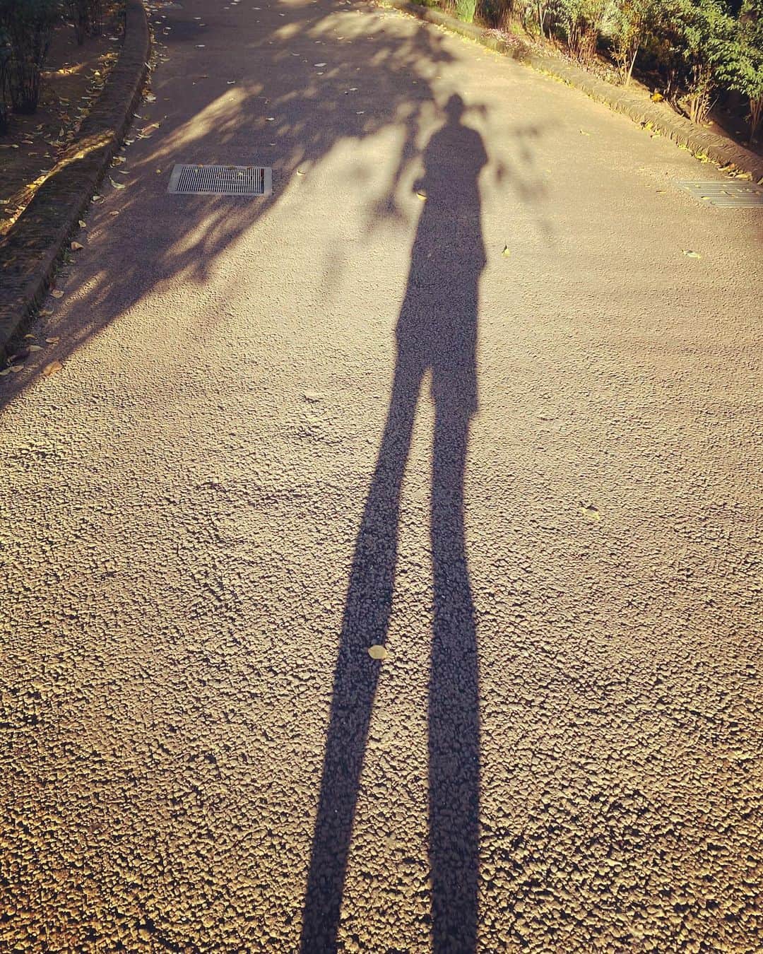 浅田信一のインスタグラム：「おはよう☀朝ラン8K🏃🏻‍♂️」