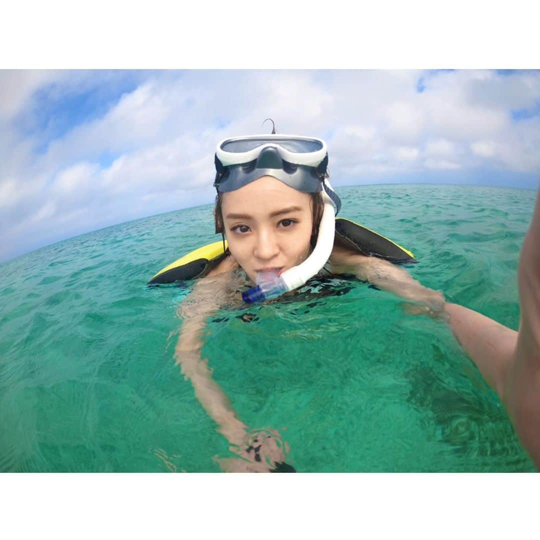 咲良菜緒さんのインスタグラム写真 - (咲良菜緒Instagram)「🐢Day4🌊  波照間島のニシ浜で、のんびりシュノーケルしてたらウミガメさんと泳げました🐢  この子含め3匹も会えました🏖  #okinawa #hateruma #haterumaisland #シュノーケル　#シュノーケリング　#ウミガメ　#波照間島　#ニシ浜」11月21日 9時35分 - nao_sakura_official