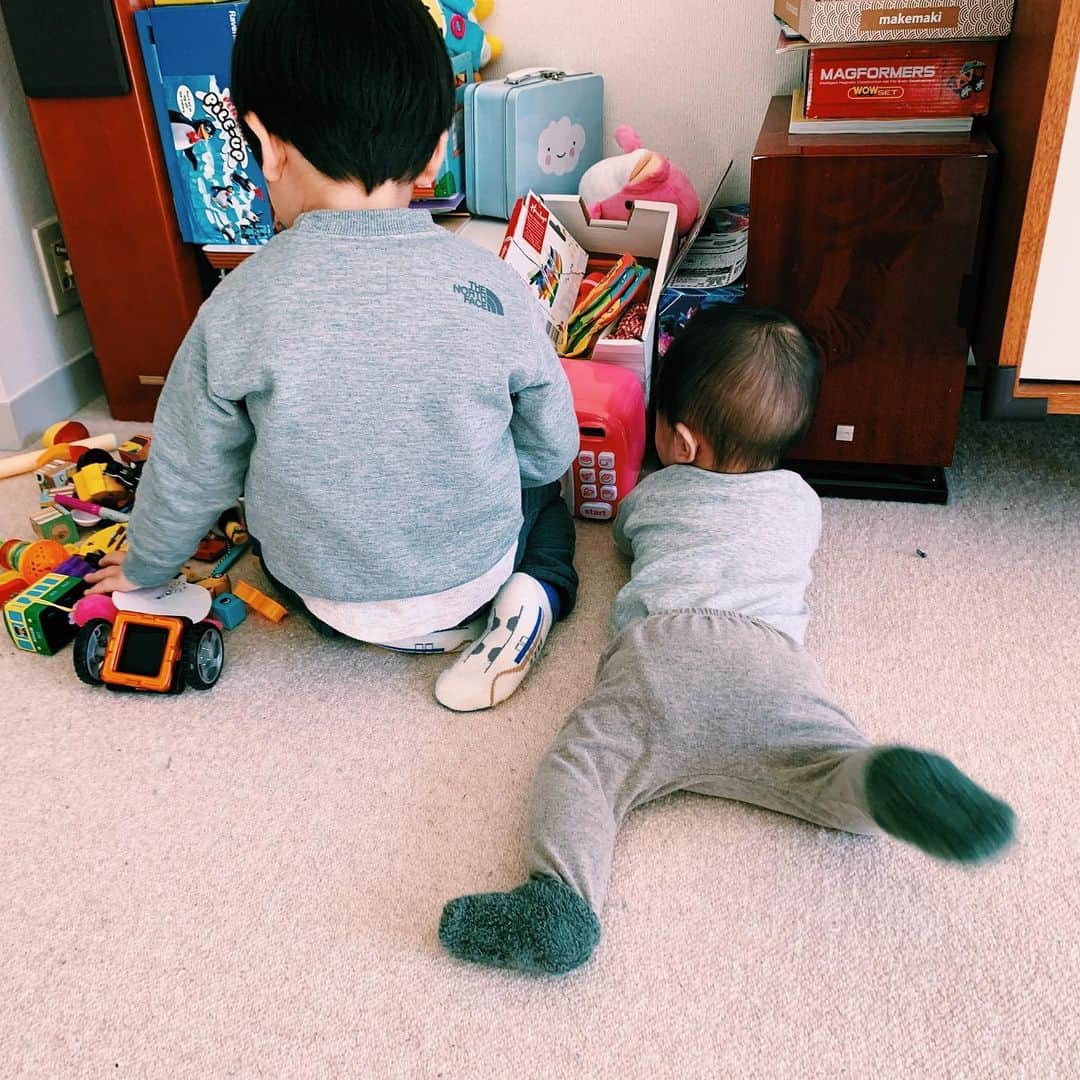 安田美沙子さんのインスタグラム写真 - (安田美沙子Instagram)「朝からおもちゃをひっくり返す息子。小さい物はこっそり隠して行ってます。2人のコミュニケーションが愛おしい。 ひょうきんな兄のこと、すでに大好きなんだなぁ❤️ 大変な時もあるけれど、「癇癪」は大分落ち着いてきました。 「にいにい」っというと「違う！お兄ちゃんだよ！」と怒ってくる。自覚が芽生えて来たんだなぁ👦👶✨ . . . #boys #brothers #mama #3yearsold #8months #兄弟　#仲良し　#ありがとう #おにいちゃん #おすわり　#変なダンス」11月21日 9時37分 - yasuda_misako