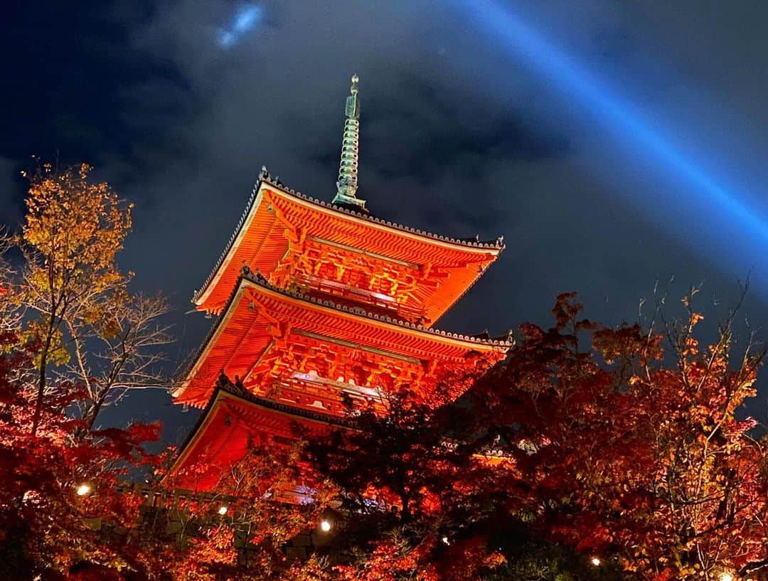 REINAさんのインスタグラム写真 - (REINAInstagram)「﻿ Good morning👐🏻♡﻿ 今日から３連休の方が多いのかな？？﻿ 皆さま素敵な週末を🥰🥰﻿ ﻿ ﻿ ﻿ 📸:紅葉🍁﻿ ﻿ 昨日京都へ見に行きました☺︎﻿ ずっと行きたくて💭💭💭﻿ ﻿ ライトアップされてて、﻿ すっごく綺麗でずっと見てられました🤭﻿ 写真で伝わるといいなあ🙏🏻✨﻿ ﻿ ﻿ 夜景や紅葉ってやっぱりいいですね！🏙🍂﻿   景色が綺麗な場所、 だいすきだなあ😂♥️﻿ ﻿ おすすめの場所あれば教えてくださいっ(^^) ﻿ ﻿ ﻿ ﻿ ﻿ #オリックス #BsGirls #Bs2020 ﻿ #buffaloes #ORIX #プロ野球 #NPB ﻿ #baseball #野球 #野球好き #オリ姫 ﻿ #京都 #紅葉 #ライトアップ #紅葉シーズン﻿ #オリックスバファローズ ﻿ #みんなでバファローズ ﻿ #reina_bsgirls #reina_360 #SMILE ﻿ #instalike #followｍe」11月21日 9時48分 - reina_bsgirls_360