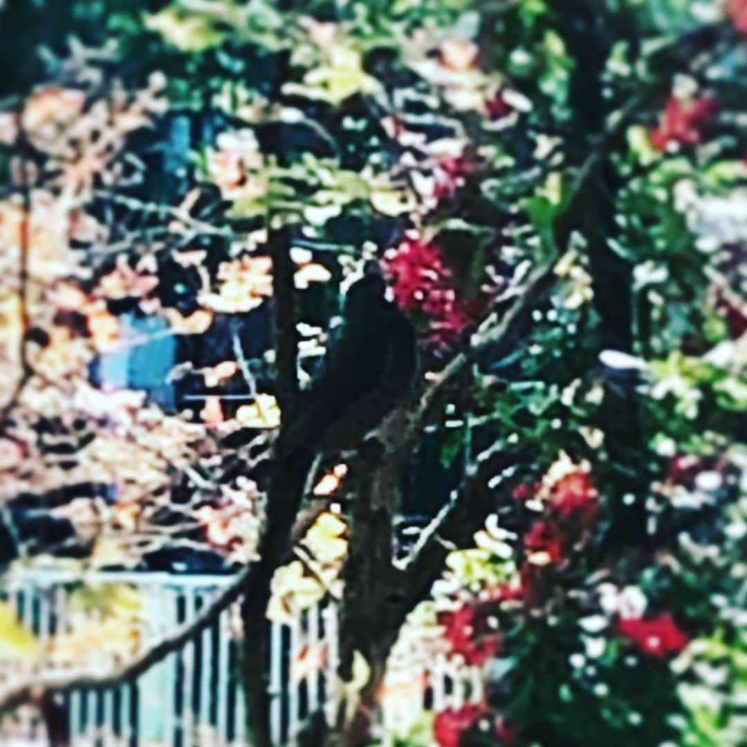 team_omotesandoのインスタグラム：「Having breakfast 🍳   #peacefulweekend #littlehappiness #littleappreciationpost #littlethankyou #緑のある暮らし #丁寧な暮らし #lovelyweekend」