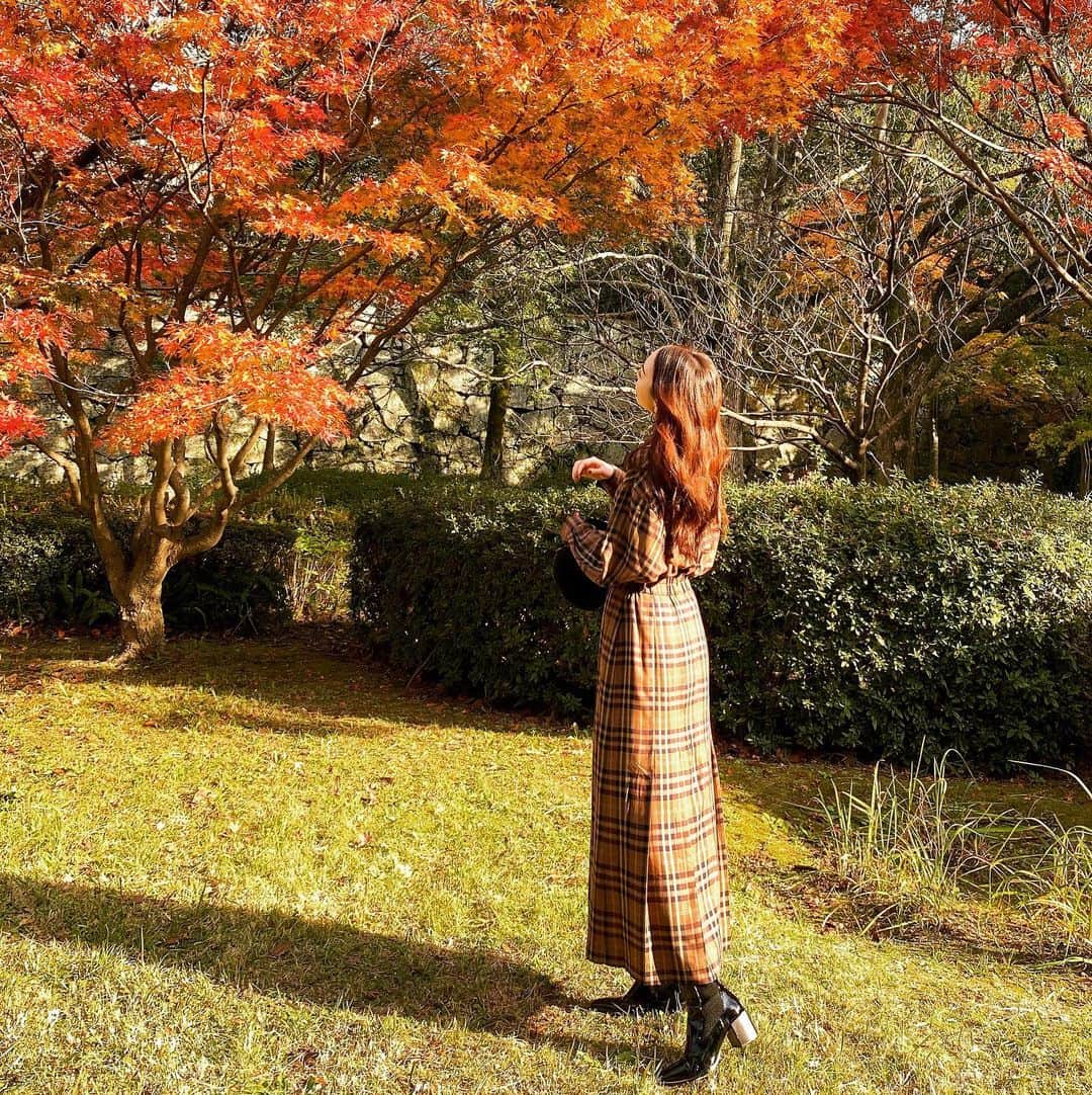 加藤桃子のインスタグラム：「Goto Travelを使って福岡へ chari chariを借りてサイクリング🚲 天気も良くて気持ち良かったなあ❤️ 素敵な紅葉見つけてパシャり🍁  #福岡旅行 #gototravel」