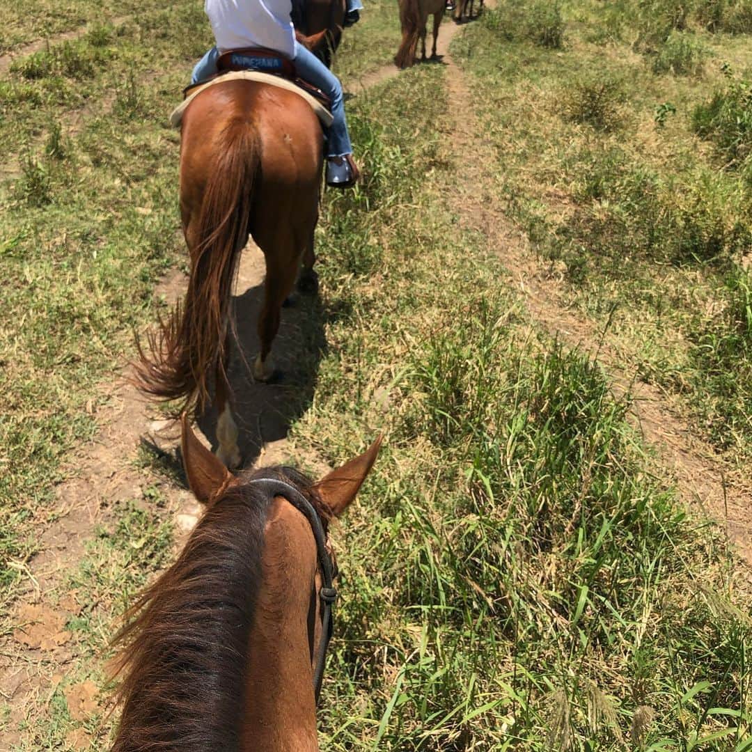 水野里砂のインスタグラム：「早くお馬さんに会いたいなぁ🐎」