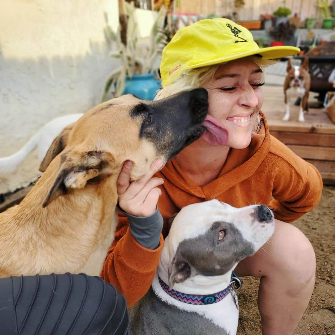 ローレン・ジャーマンのインスタグラム：「Everything about this pic is 💞 (note Bernard in back 😆) @thehealingpack」