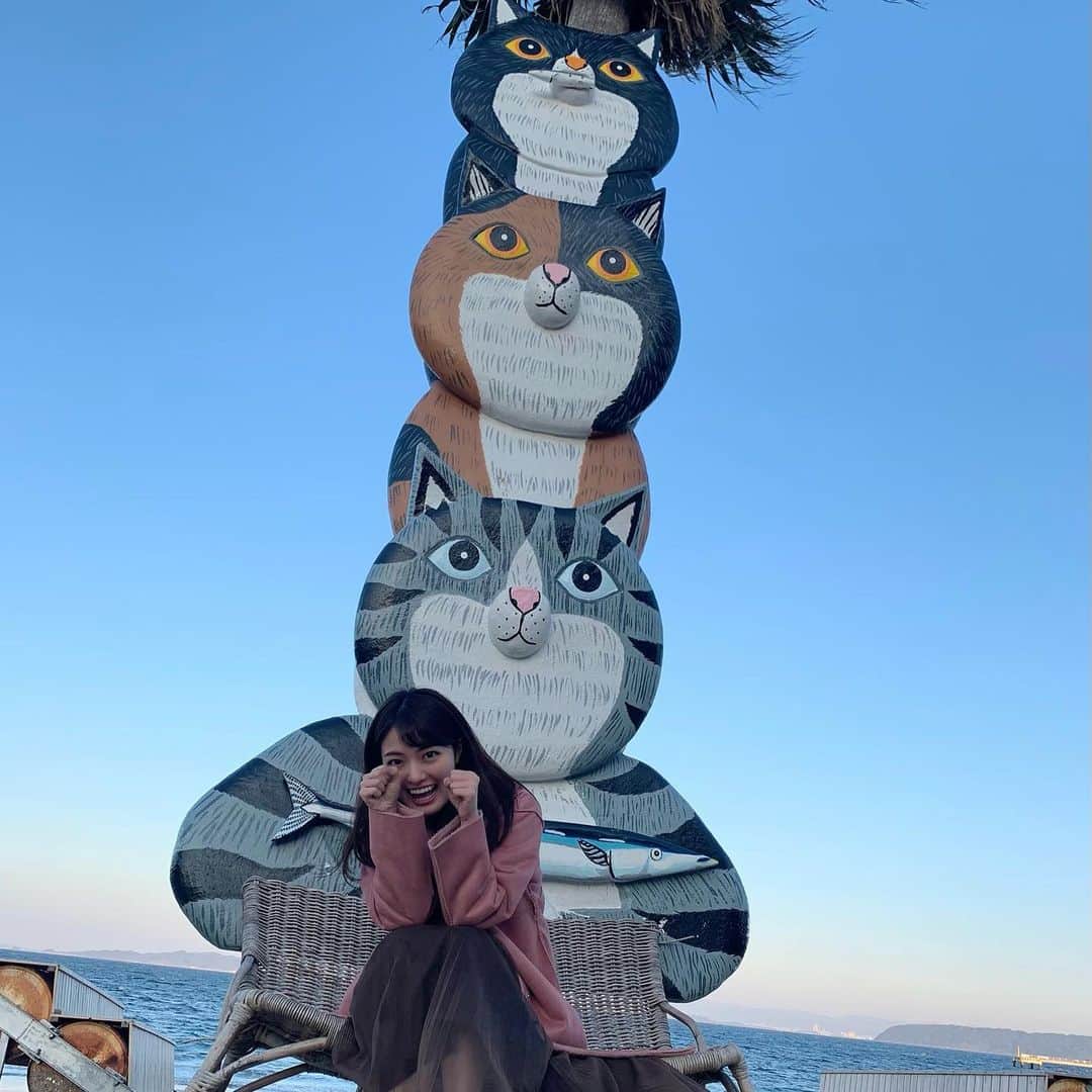 遠野愛さんのインスタグラム写真 - (遠野愛Instagram)「先週末は糸島へ♡ とっても綺麗な景色にうっとり😳  #福岡　#糸島　#海　#ヤシの木ブランコ #ヤシの木 #パームビーチ　#フォトジェニック　#インスタ映え　#女子アナ　#アナウンサー　#遠野愛　  友達にはそこ？って言われたけど猫好きとしてシュールな猫の椅子で写真をとりました😌」11月21日 10時43分 - ai.tono_fbs