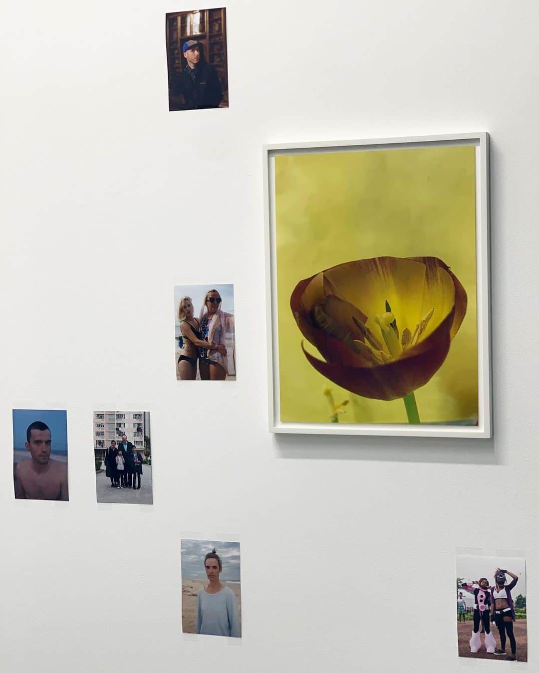 二ノ宮和佳子のインスタグラム：「『How does it feel』 @wolfgang_tillmans   サイコーでした   #wolfgangtillmans #wakoworksofart」