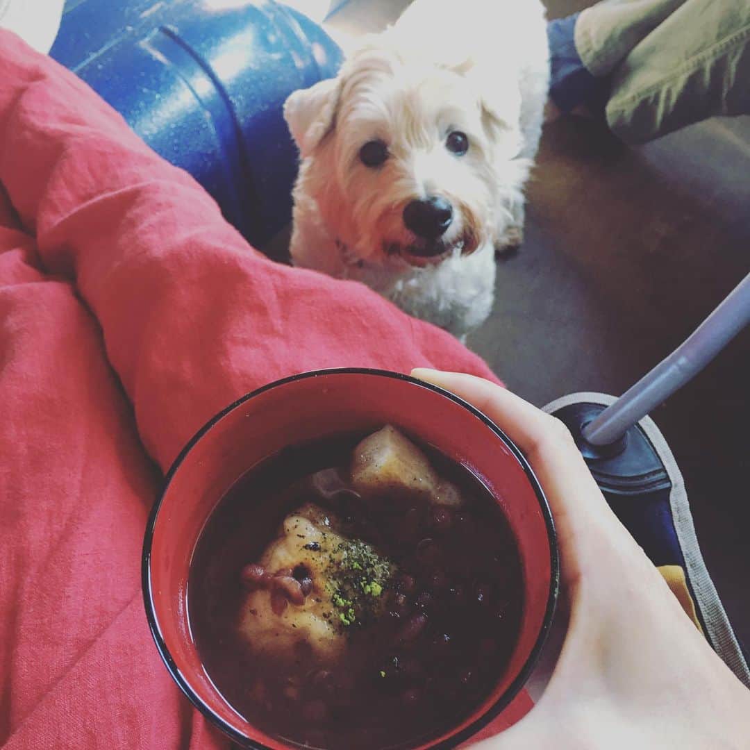 甲斐麻美のインスタグラム