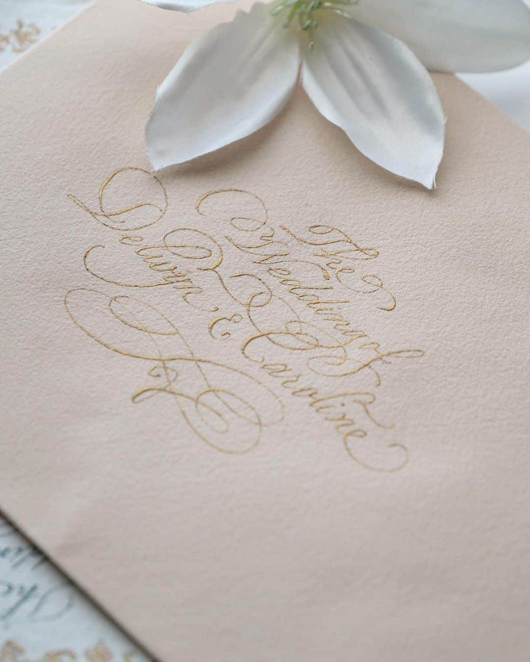 Veronica Halimさんのインスタグラム写真 - (Veronica HalimInstagram)「All the details I love poured into this handmade styled shoot bundle created especially for Caroline and Delwyn, Congratulations for your wedding !! —  #vhcalligraphy #truffypi #カリグラフィー #カリグラフィースタイリング #モダンカリグラフィー #calligraphystyling #カリグラフィーワークショップ #weddingstationery #moderncalligraphy #handmadepaper  #penmanship #ウェディング #ウェディングアイテム #カリグラファ #スタイリングワークショップ #スタイリング #prettypapers #weddingsuite #styledshootbundle」11月21日 11時32分 - truffypi