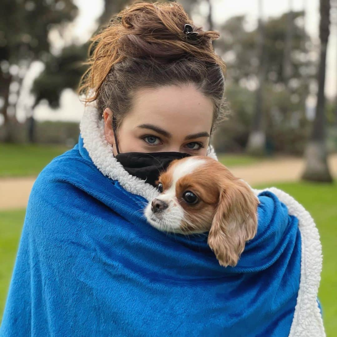 メアリー・モーサさんのインスタグラム写真 - (メアリー・モーサInstagram)「•cozy blanket ☑️ • cute pup ☑️ • quarantine messy-bun ☑️ - I love that it’s getting a little colder outside, but a cozy holiday season at home is around the corner over here and I am READY FOR IT ☃️ - Also I’ve been MIA since I’m keeping safe with my mask on, social distancing, and staying home, and I hope you’re all staying safe and smart as well so we can kick this pandemic’s butt ASAP! 👊💙 - Do you guys have one go-to blanket for winter cuddles? Or do you bury yourself under a pile of MANY blankets? (Somehow I do both 😂)」11月21日 11時58分 - missmarymmouser