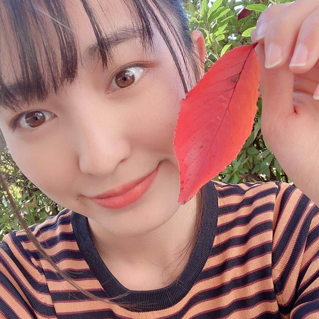 堀口日萌のインスタグラム：「. 葉っぱ🍁🍁🍁 真っ赤っかです🌞🌞 背景常緑樹やけど🌲 なんか最近あったかいから薄着で行ける🤩 葉っぱも耳にできる（？） 17歳まだまだ外遊びが好きです🍂  #紅葉#秋#autumn#autumnvibes#常緑樹多すぎ」