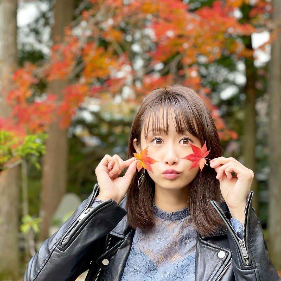 筒井萌子のインスタグラム：「*  紅葉🍁 山薬というとろろが有名なお店で朝ごはん𓂃 𓈒𓏸❁⃘  栄養豊富で消化吸収の良い自然薯は、 美容にも良い食材の一つ‪‪ 𖧷 ⁺.  とろろ好きさんは箱根に行ったらぜひ✨ 昼間は行列ができるから朝から昼前がオススメです♪  ・ #筒井萌子 #女優 #actress #モデル #model #岡山  #shooting #instagood #instalike #converse #撮影 #followme #instalike #ゴルフ #ゴルフ女子 #ゴルフコーデ #골프 #좋아요반사 #좋아요그램 #좋아요환영 #데일리그램 #패션 #오오티디 #카페 #リンパ浮腫」