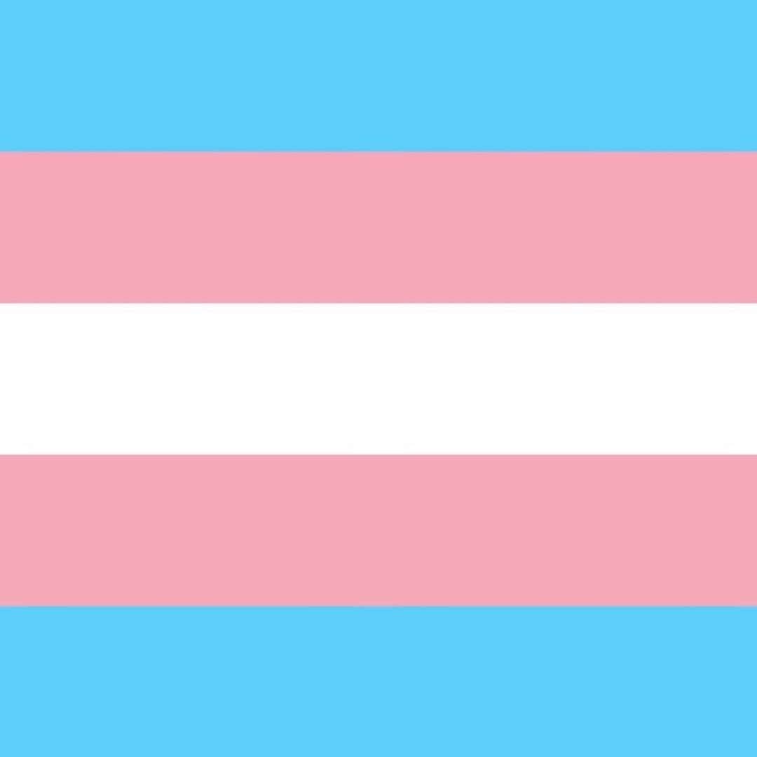 A.J.さんのインスタグラム写真 - (A.J.Instagram)「Today we remember and honor our transgender friends whose lives were lost in acts of anti-transgender violence. This is absolutely heartbreaking and should not be happening. Every single person should be able to live freely as they are, and feel safe while doing so. I am sending love to all of the families and friends of those that were lost, and I’m praying for a better tomorrow where we all find a way to love and respect each other for who we are. #TransDayOfRemembrance」11月21日 12時10分 - aj_mclean