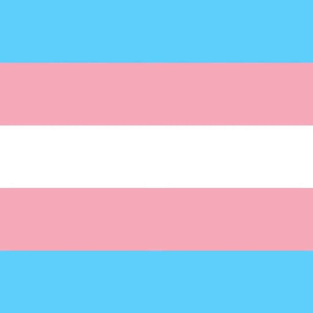A.J.のインスタグラム：「Today we remember and honor our transgender friends whose lives were lost in acts of anti-transgender violence. This is absolutely heartbreaking and should not be happening. Every single person should be able to live freely as they are, and feel safe while doing so. I am sending love to all of the families and friends of those that were lost, and I’m praying for a better tomorrow where we all find a way to love and respect each other for who we are. #TransDayOfRemembrance」