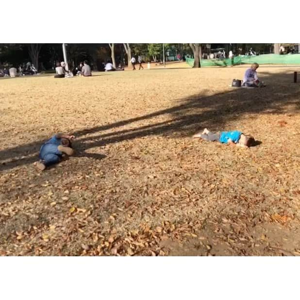 小熊美香のインスタグラム：「全力で遊ぶ3歳児😂🍂🍂🍂 (仲良しのお友達と遊ぶ兄熊、画面左🐻)  喜怒哀楽、 何もかもを全力で表現する姿は 愛らしくもあり、 その体力は恐ろしいものがある…笑  ママ！！見てみてぇぇええー！！！  と、物凄い勢いで呼ばれて 見てみると…  変なダンスをしていたり 白目になっていたり…  え…？？ まさか、これをみて欲しかったの…？？  と、こちらが白目になりそうな事の 連続です…🤪🤪  私は三姉妹で育ったので、 男の子の日々の奇想天外な言動には これからも沢山 驚かされるんだろうなぁ…😅🤣  #ミニ熊もスクスク成長中！！ #「ミニ熊」は陣内貴美子さん命名🐻✨ #二人の子育て #朝起きてから寝るまで #常に誰かに追われているような感覚　笑 #夜寝る前の読み聞かせは #1冊が限界…😪 #今の夢は #朝までぐっすり眠る事😭🤤」