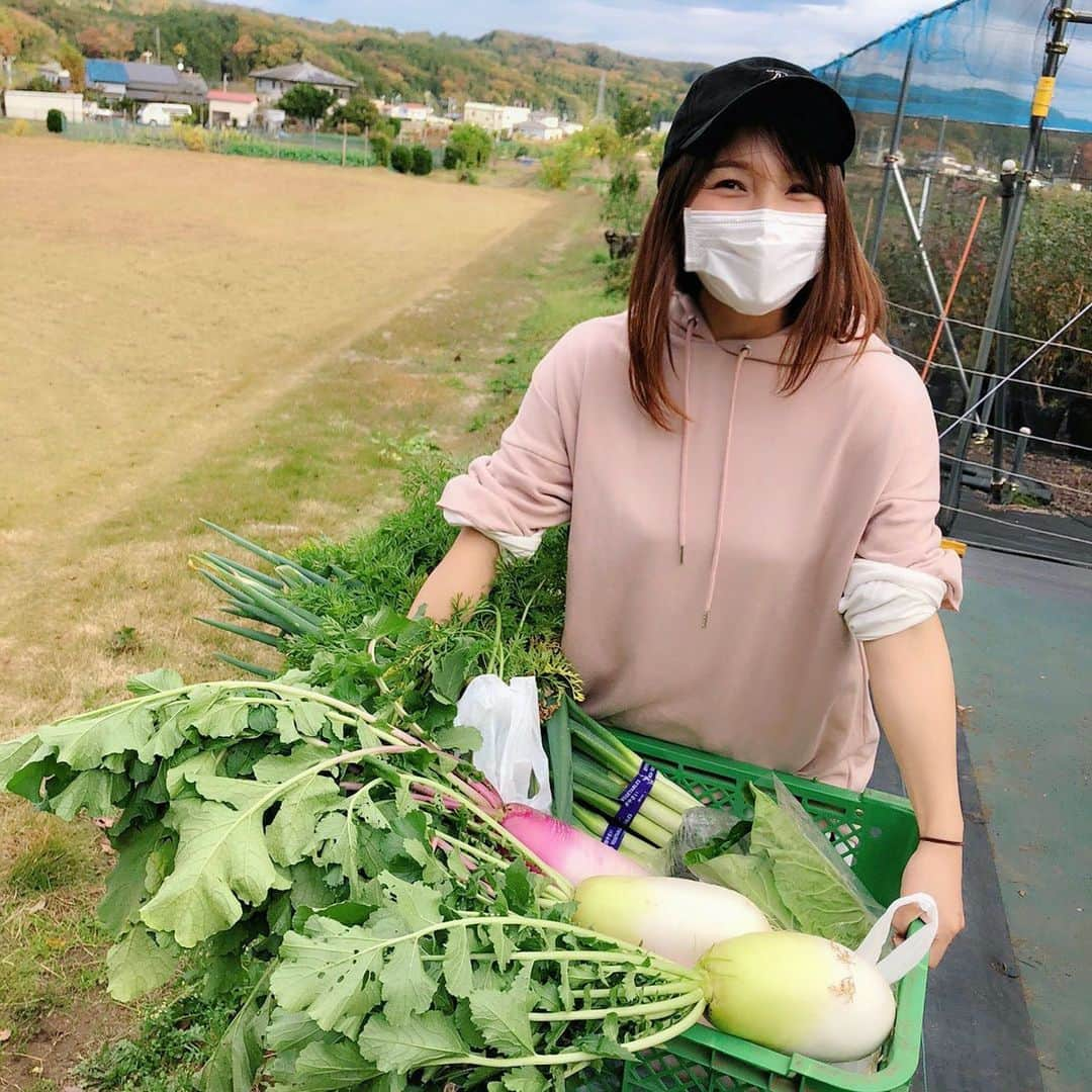 新田恵海のインスタグラム：「厚木のワイルドふぁーむさんにて、農業体験をさせていただきました🥕🥬🍠🥦  里芋・長ネギ・にんじん・だいこんetc...立派で新鮮な野菜をたくさん収穫しました🙌  楽しかったです...！！  そして持ち帰った野菜は、レンブラントホテル厚木のシェフの手によって、映え〜な料理に✨✨ めちゃくちゃおいしかった。。🥺  自分で収穫したものをいただくって素敵！  お腹も心も満たされました🙏✨  #レンブラントホテル厚木  #ワイルドふぁーむ」